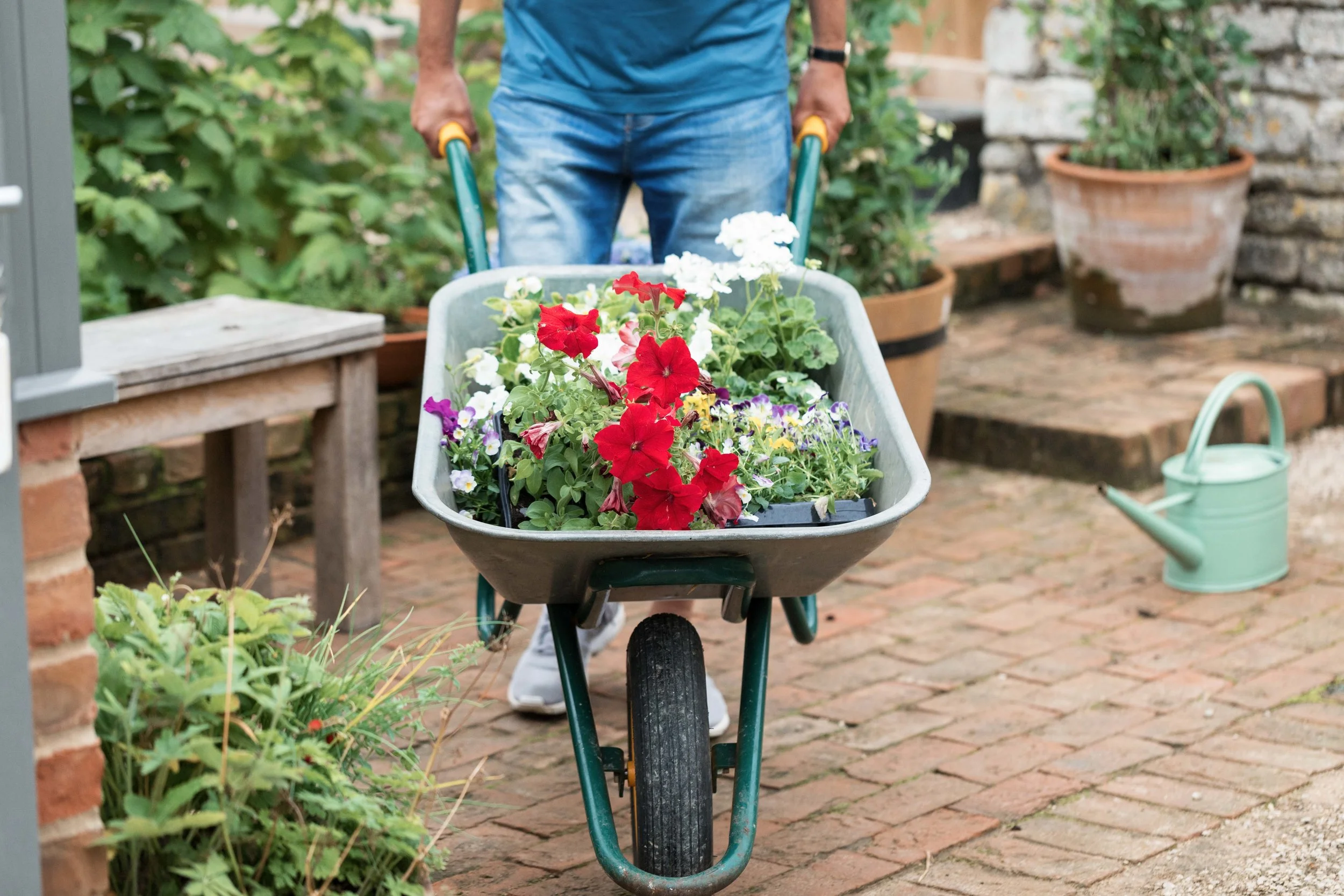 Westland jpgs WebsiteWESTLAND 159A2821-EXPOSURE.JPG