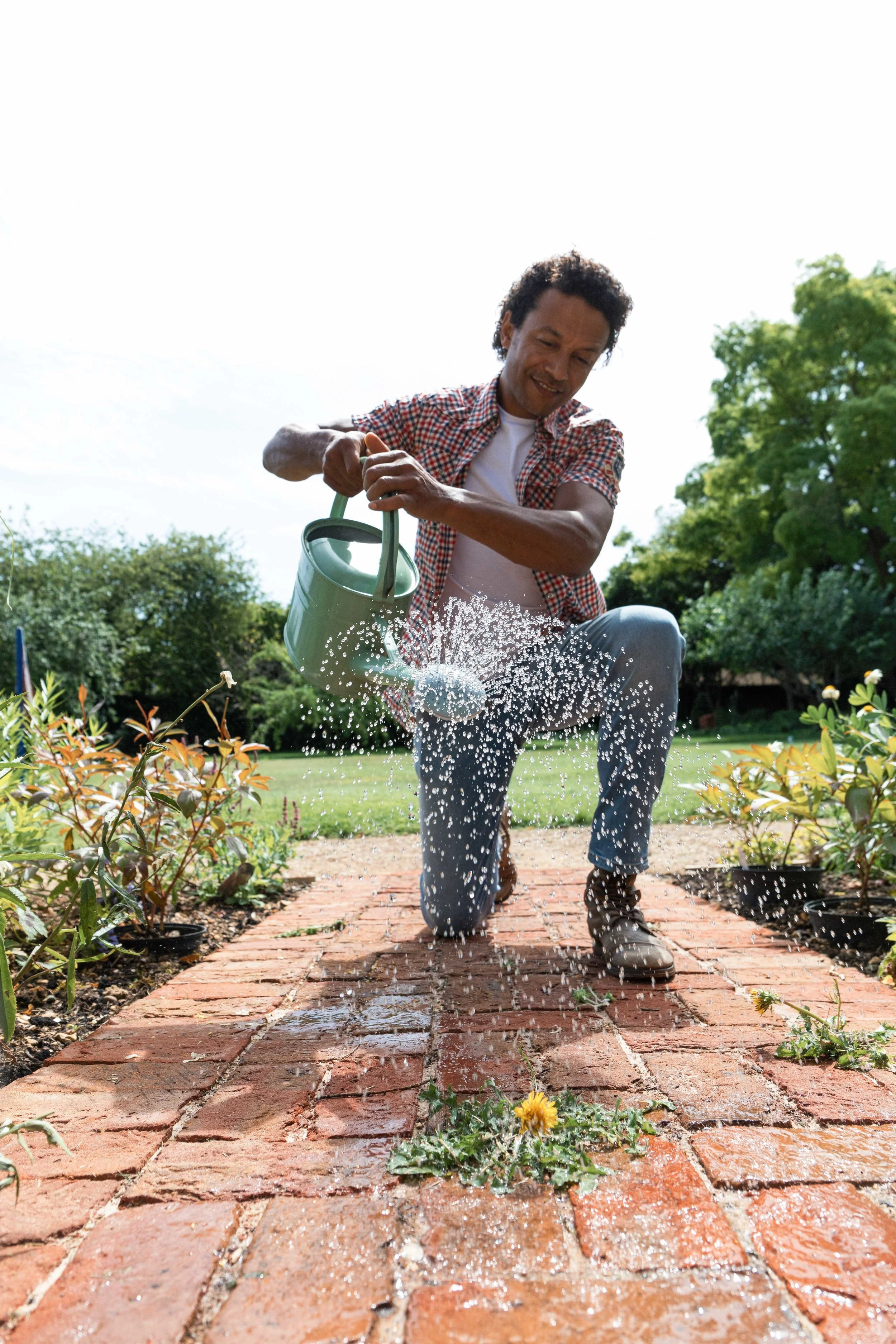 Westland jpgs WebsiteWESTLAND 159A6322-EXPOSURE.JPG