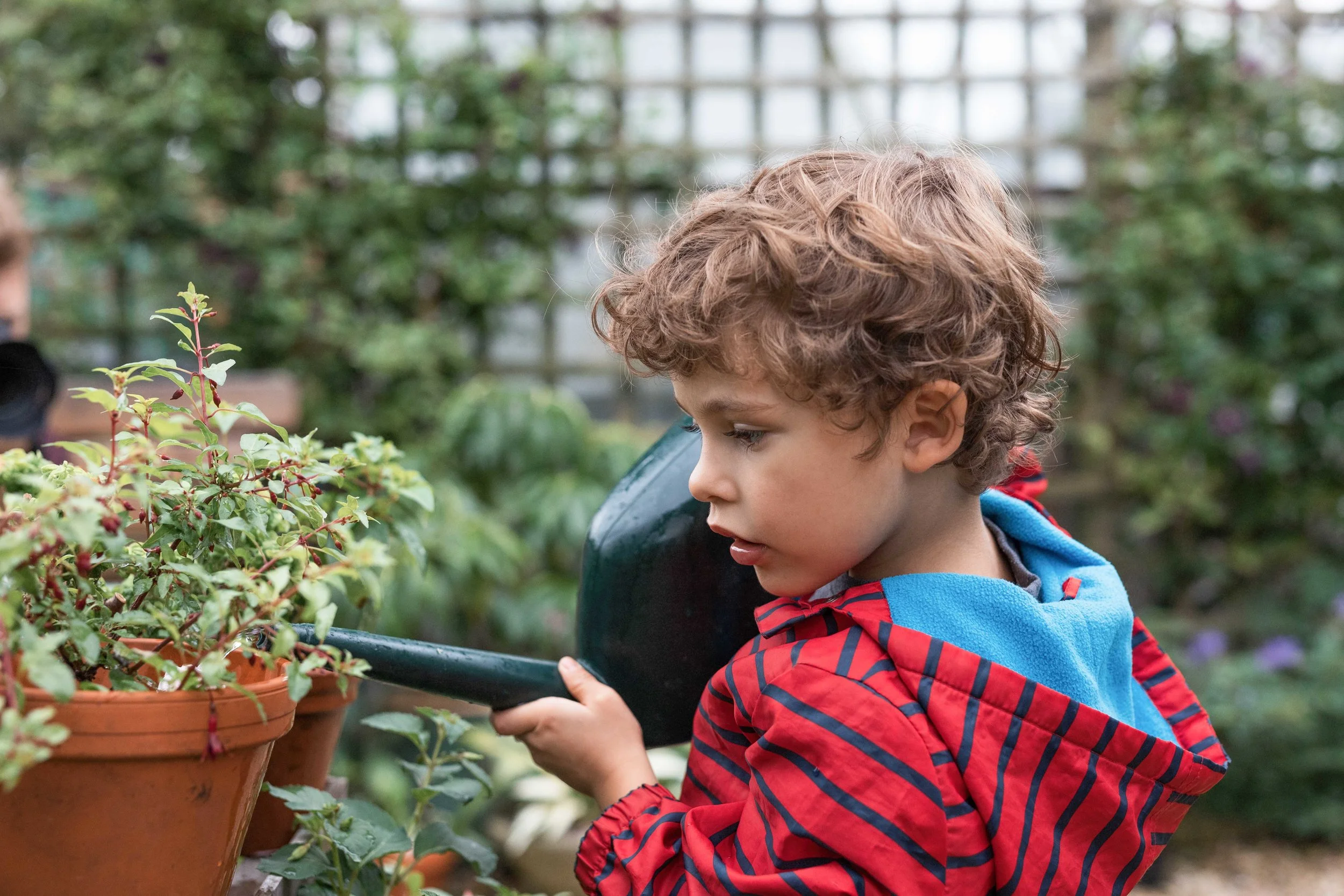 Westland jpgs WebsiteWESTLAND 159A7820-EXPOSURE.JPG