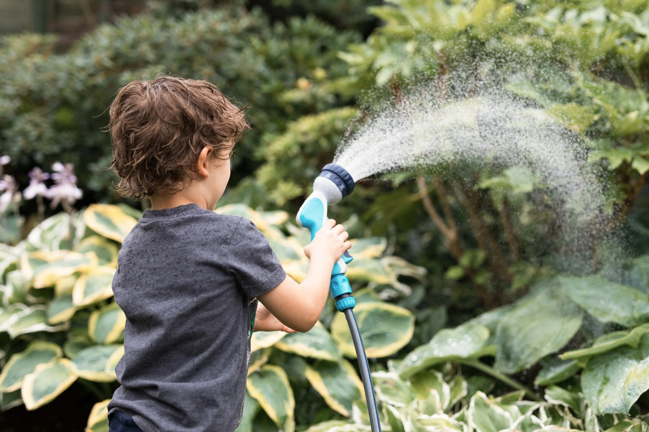 Westland jpgs WebsiteWESTLAND 159A7622-EXPOSURE.JPG