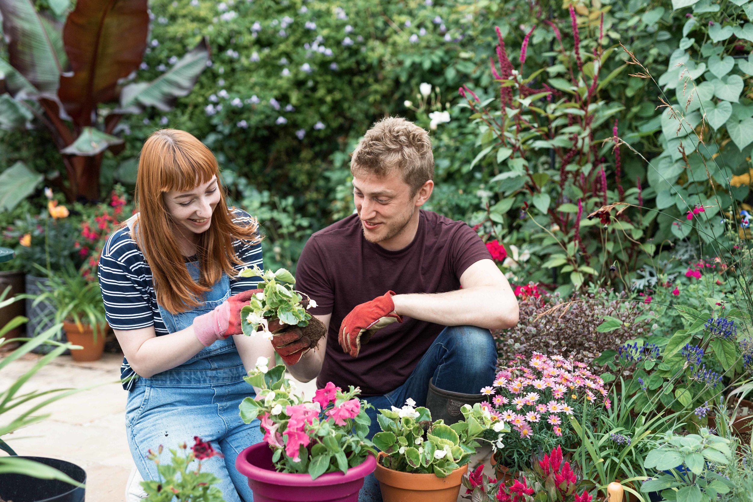 Westland jpgs WebsiteWESTLAND 159A8252-EXPOSURE.JPG