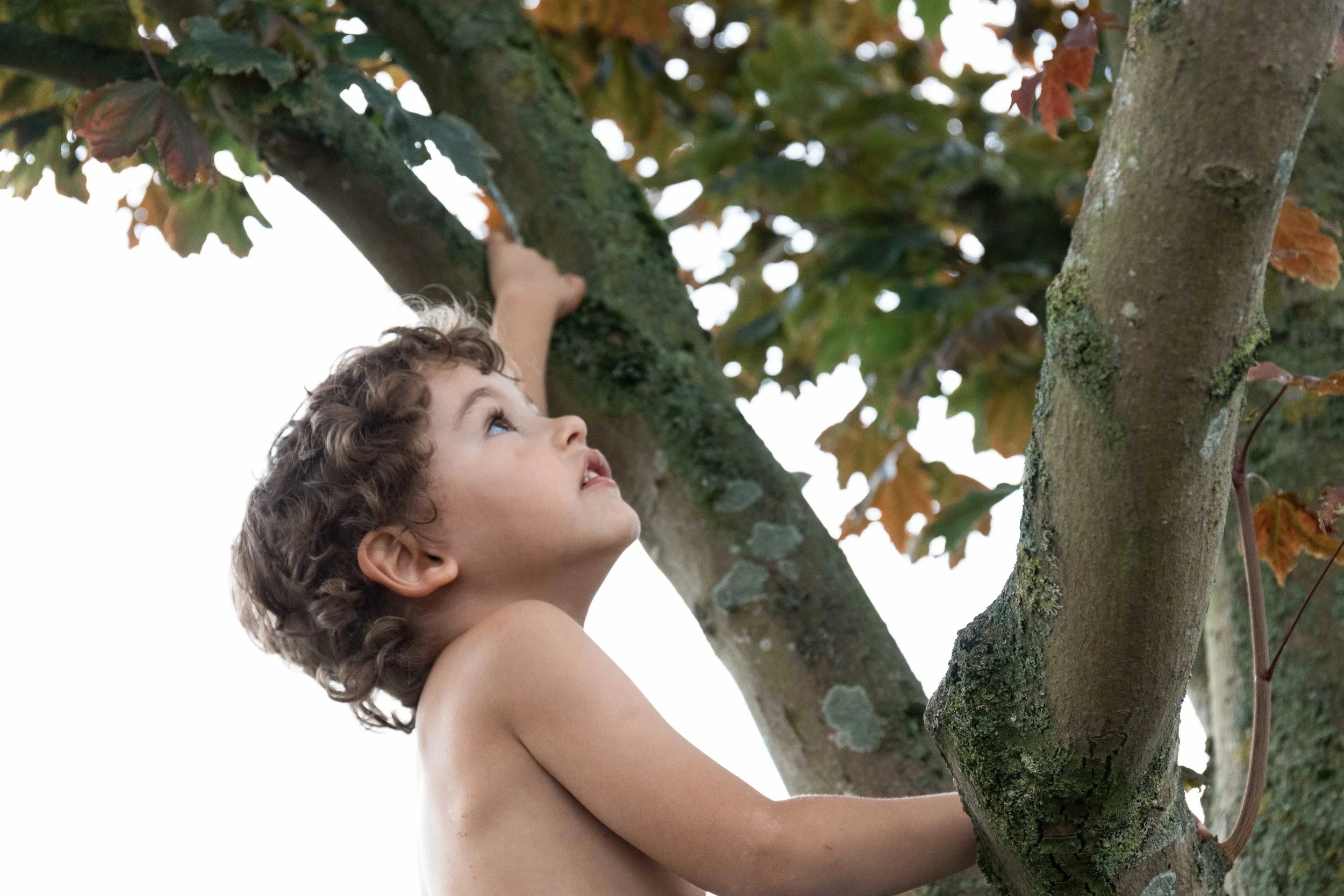 Westland jpgs WebsiteWESTLAND 0U9A1619-EXPOSURE.JPG