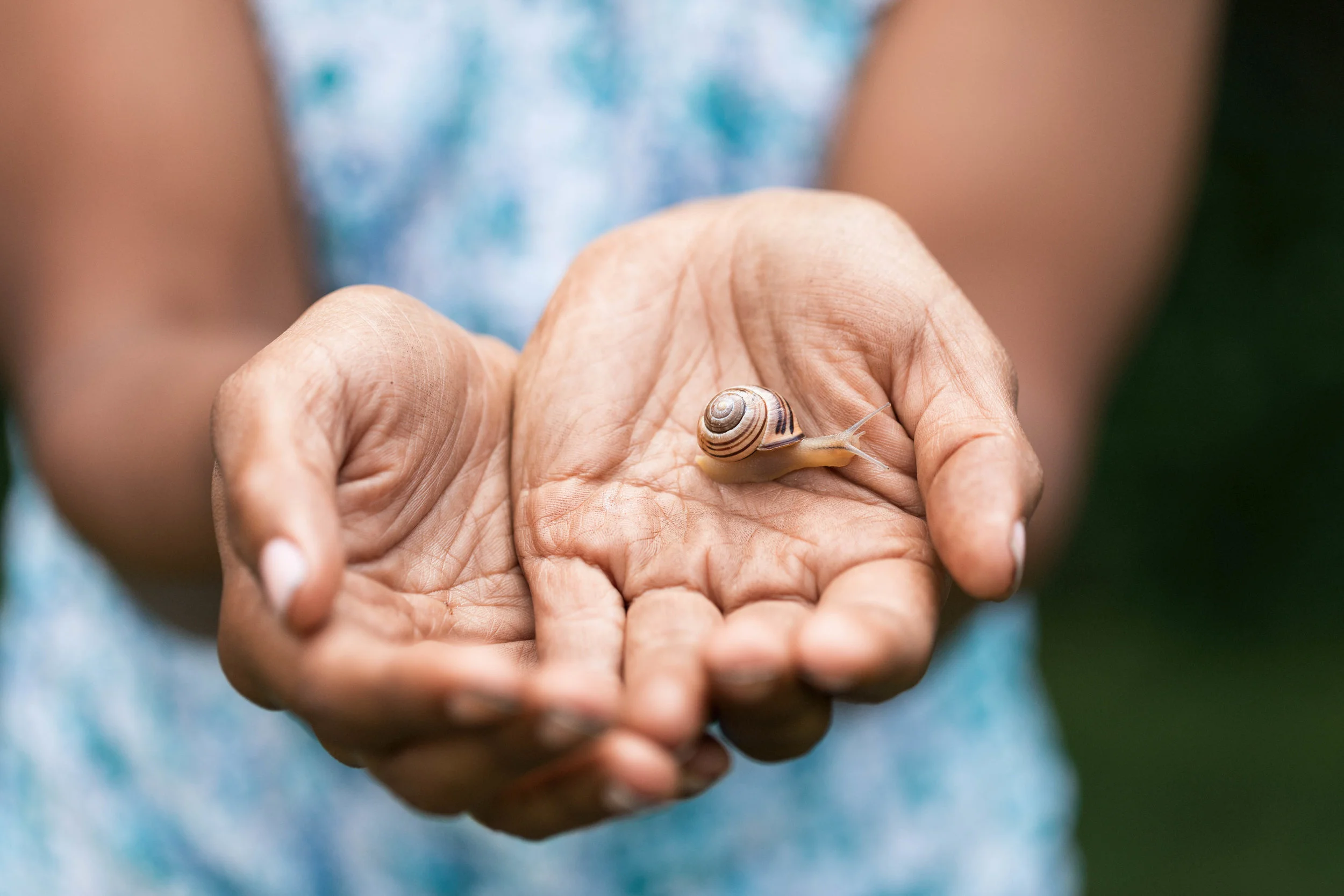 Westland jpgs WebsiteWESTLAND 159A4119-EXPOSURE.JPG