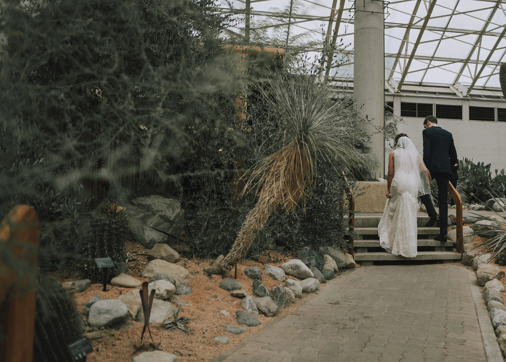Foellinger-Freimann Botanical Conservatory indianapolis indiana hannah bergman Photography