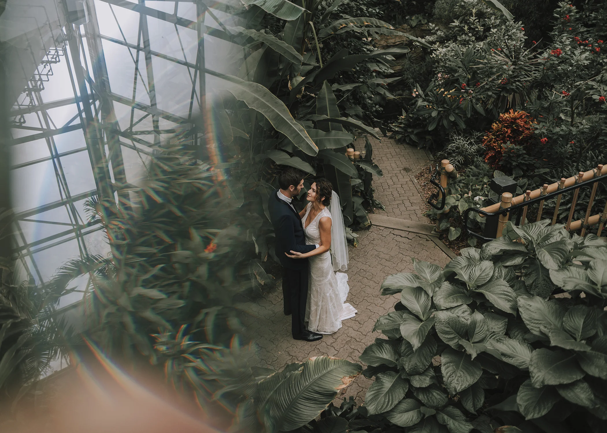 Foellinger-Freimann Botanical Conservatory indianapolis indiana hannah bergman Photography prism bridal portraits