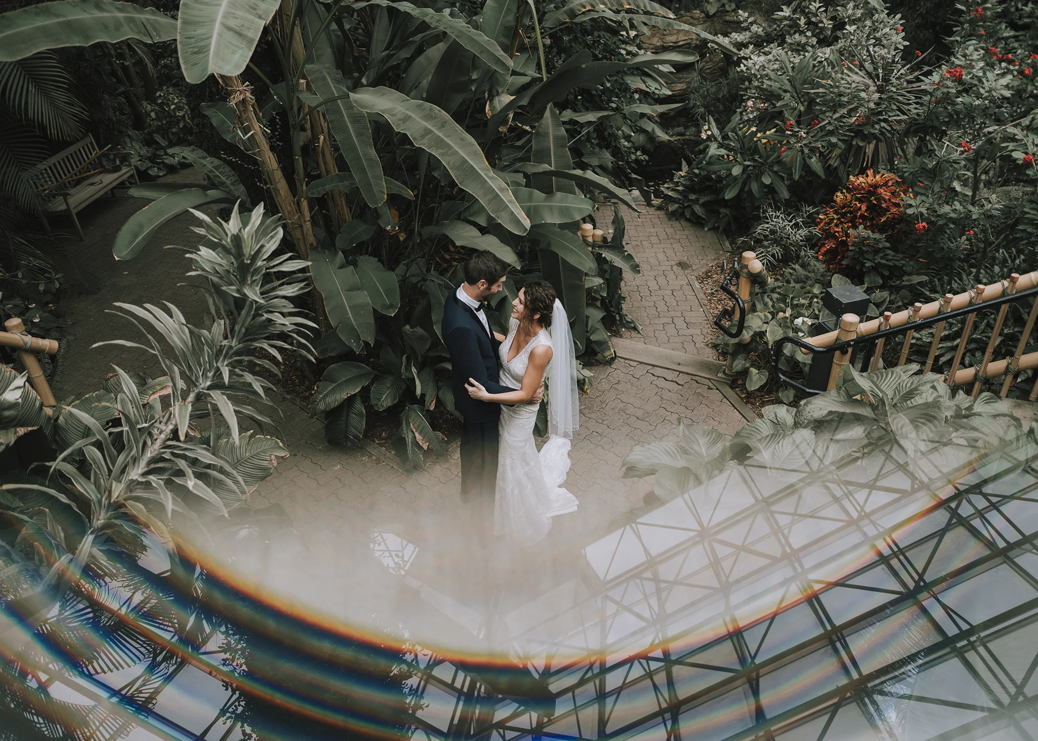 Foellinger-Freimann Botanical Conservatory indianapolis indiana hannah bergman Photography prism