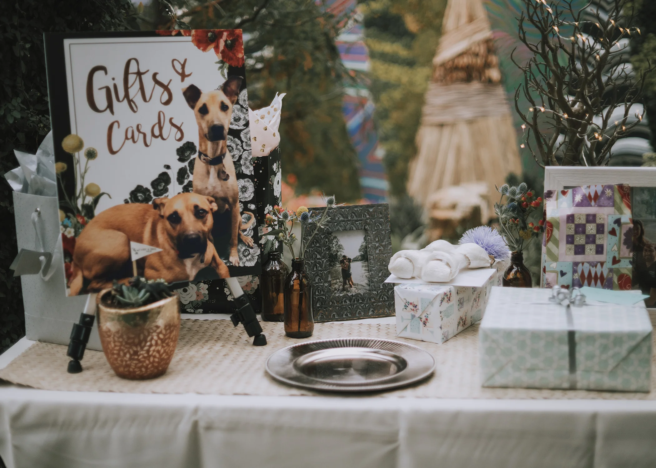 Foellinger-Freimann Botanical Conservatory indianapolis indiana hannah bergman Photography dogs gifts and cards