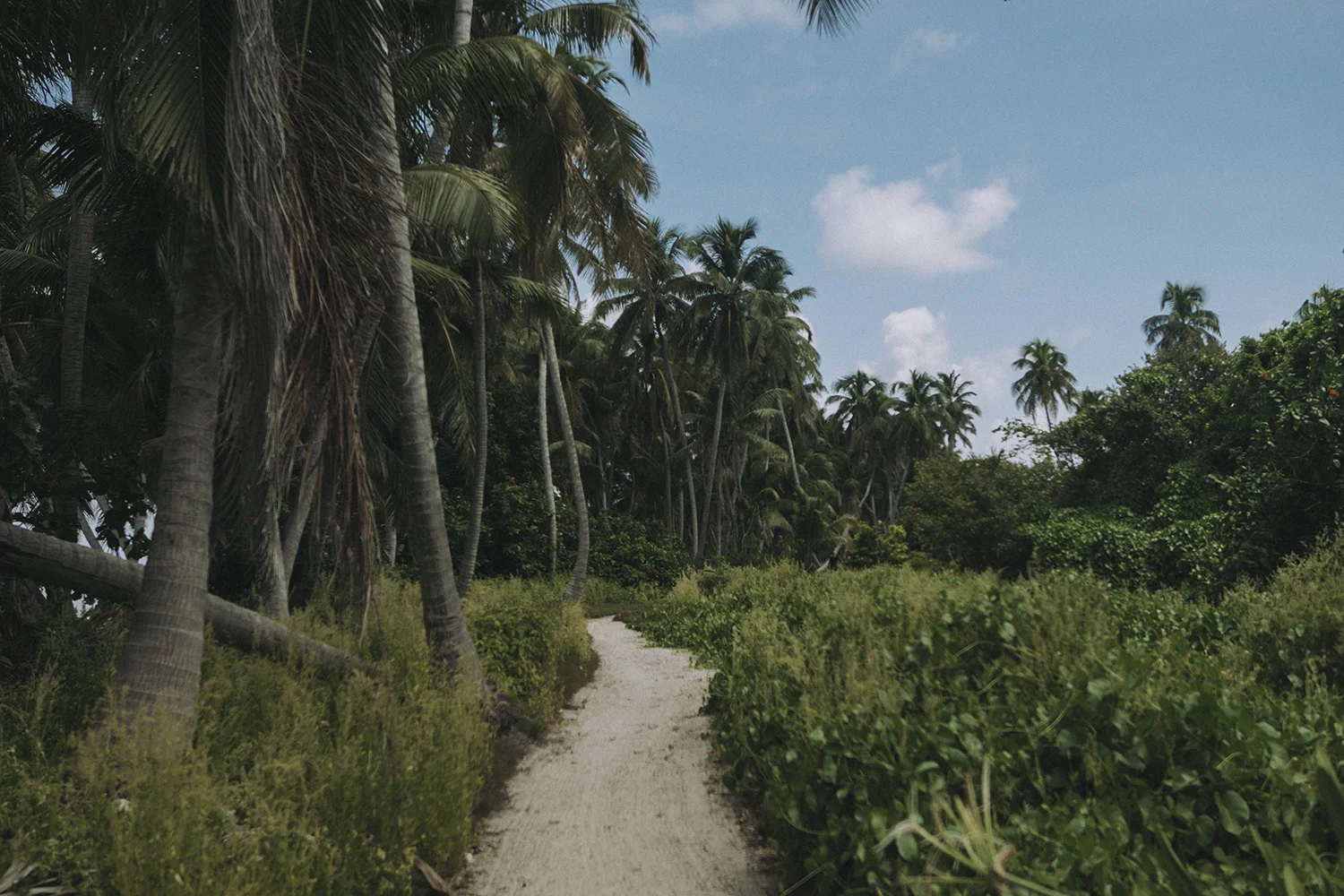 Un-Belize-Able