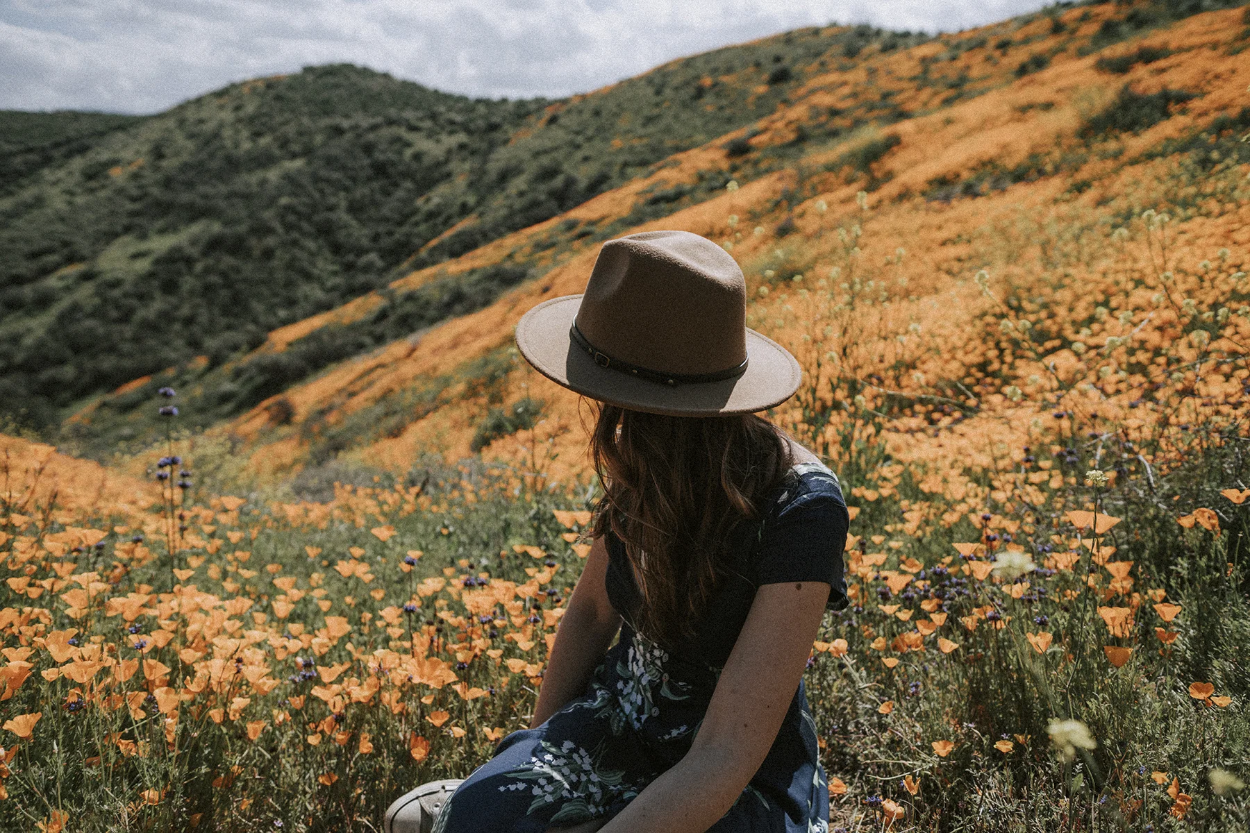 california poppy field walker canyon portraits adventure