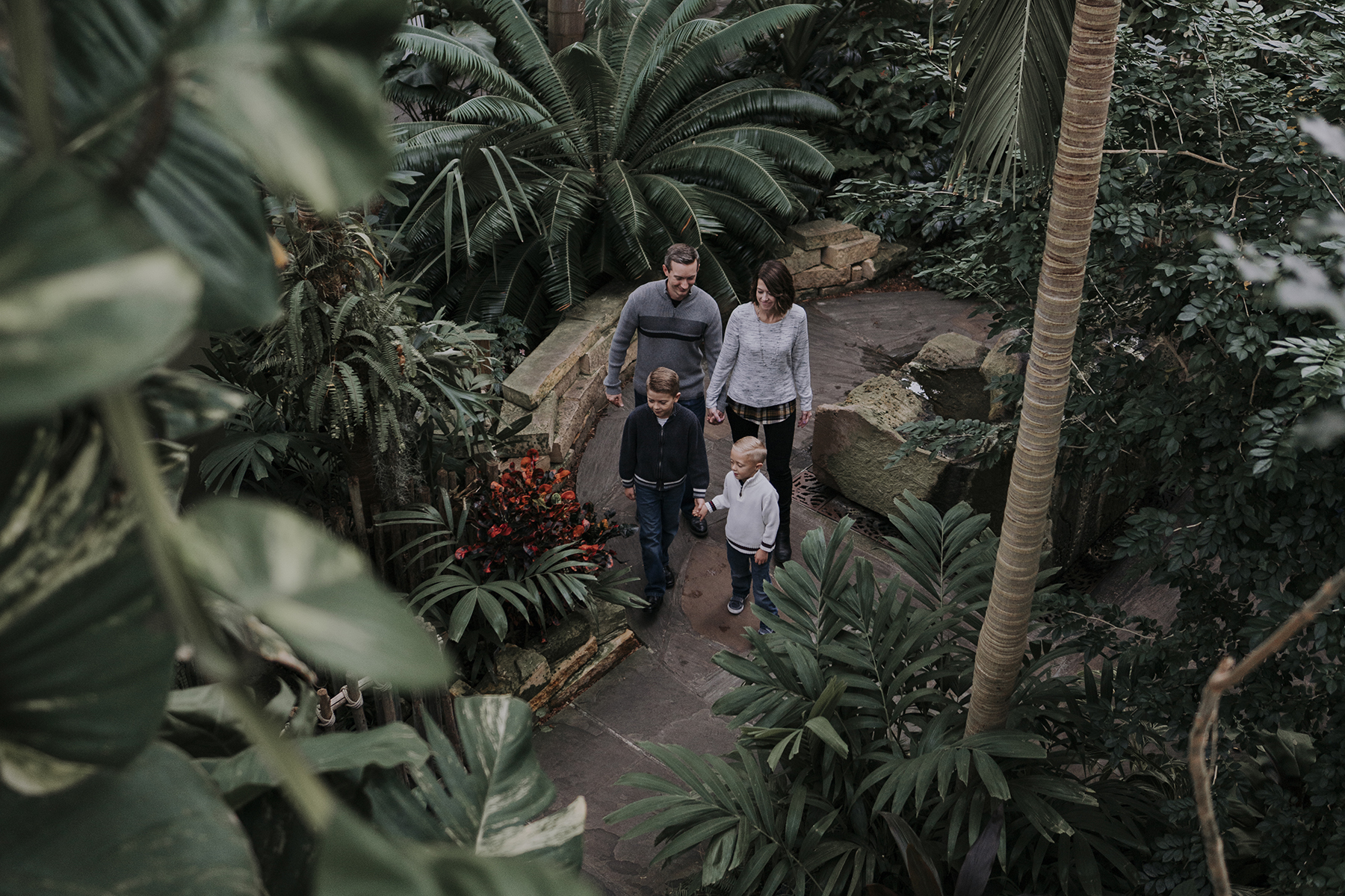 Indianapolis zoo photoshoot photographer greenhouse family