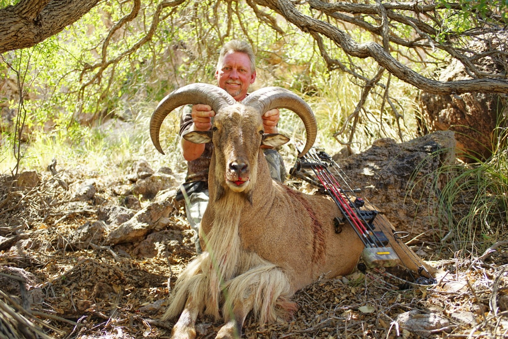 Cliff and Cactus Outfitters - Website Image_Trophy Room 49.JPG