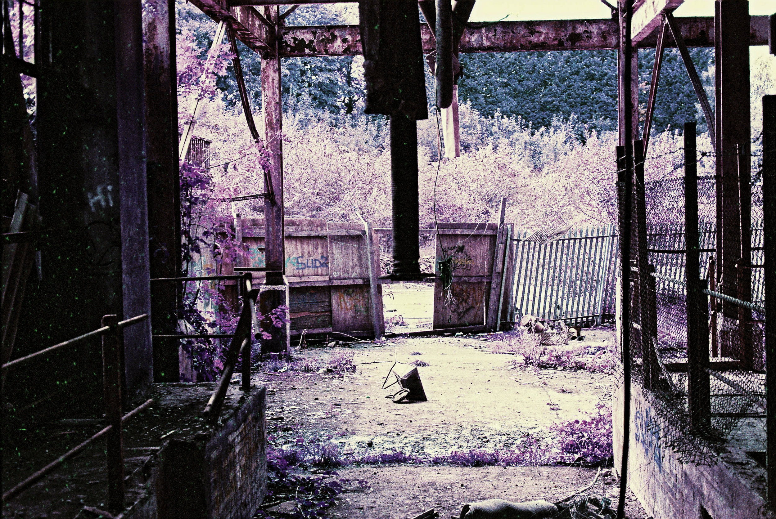 CNV00013.jpg