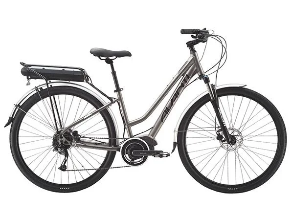 electric bike rental dunedin.jpg