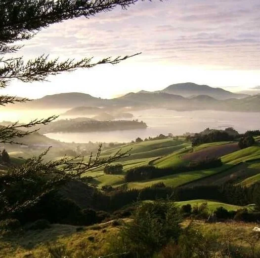 Mt Cargill Road 2.jpg