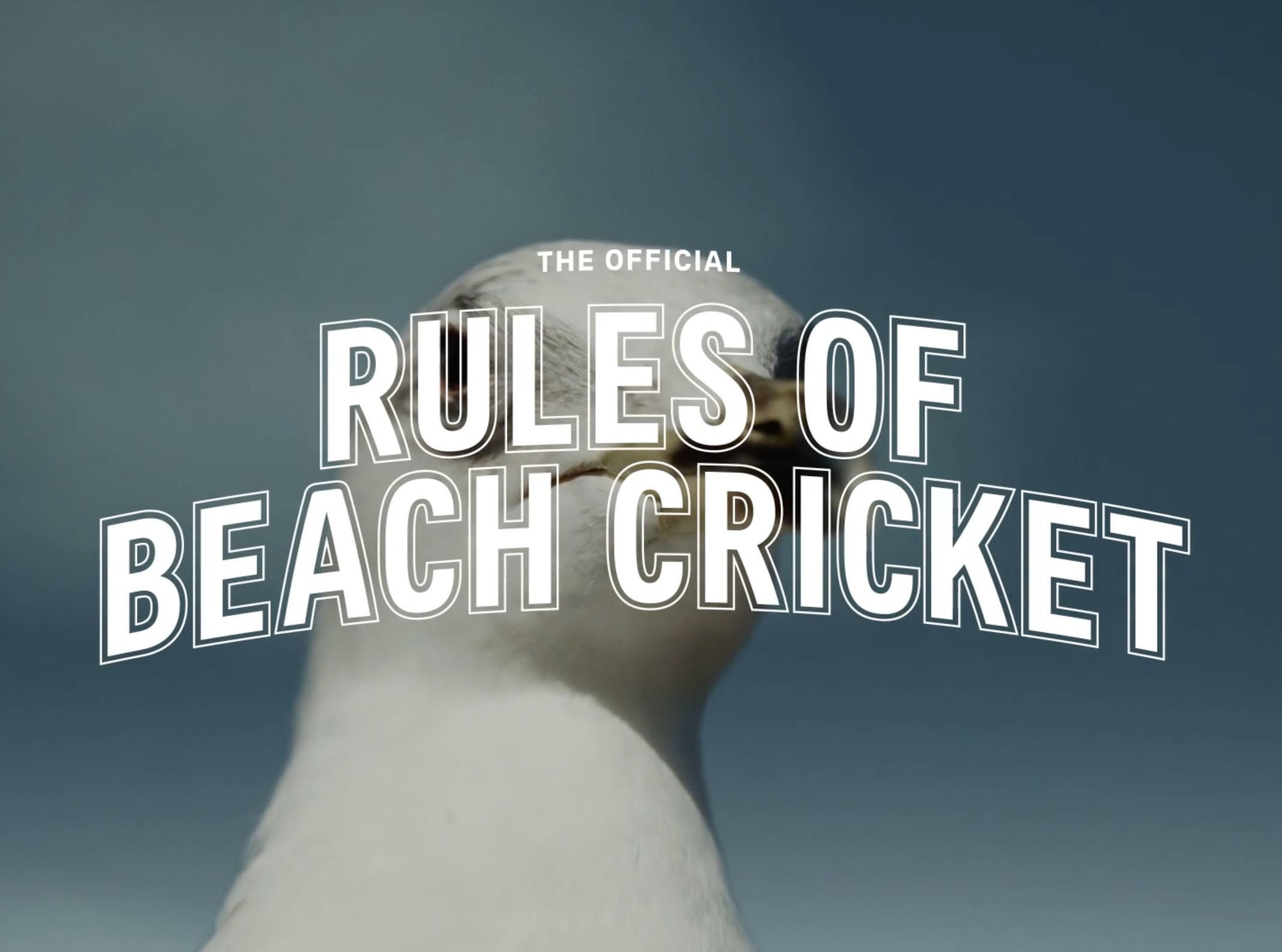 AIA Insurance - Beach Cricket