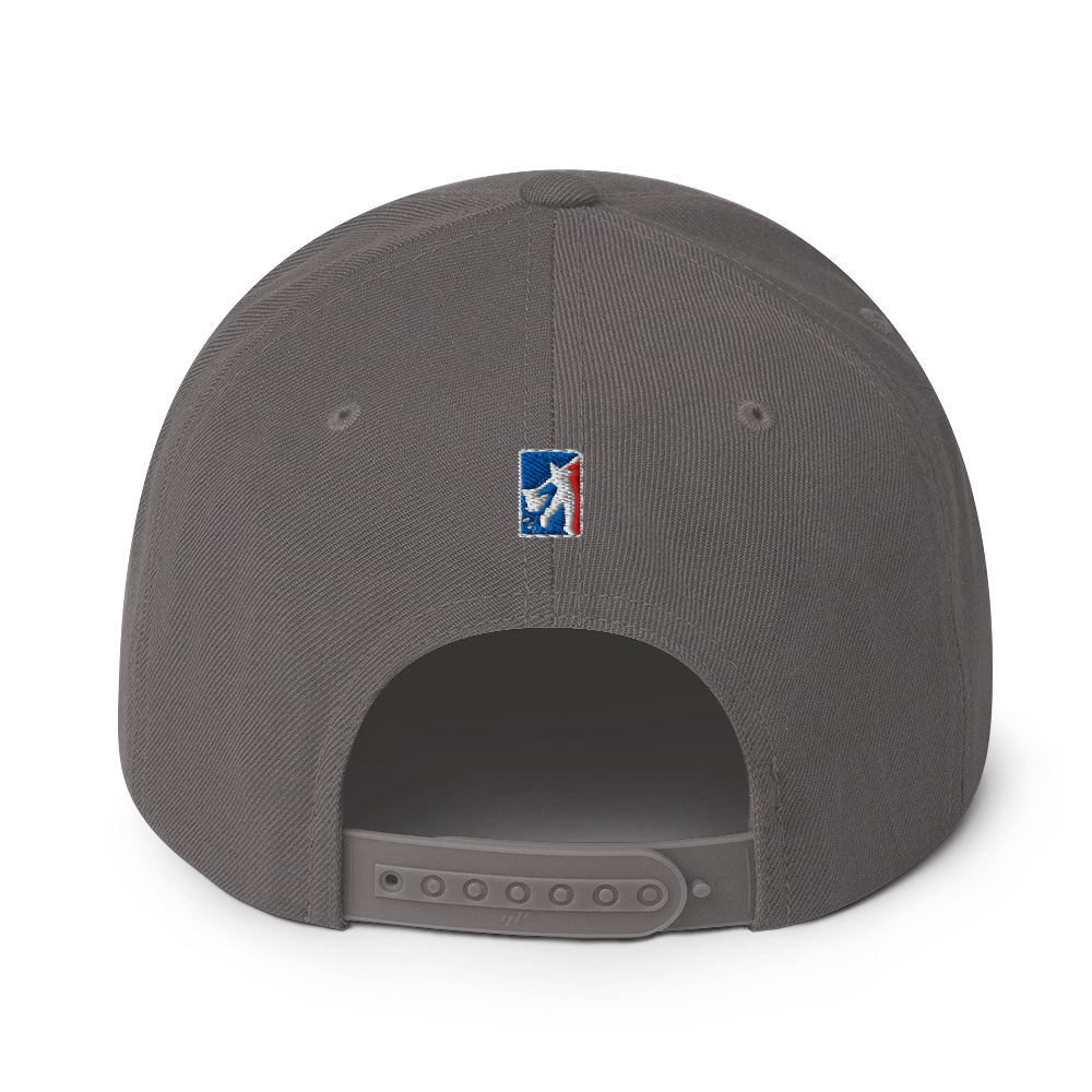 classic-snapback-dark-grey-back-6a7641b771e8a.png