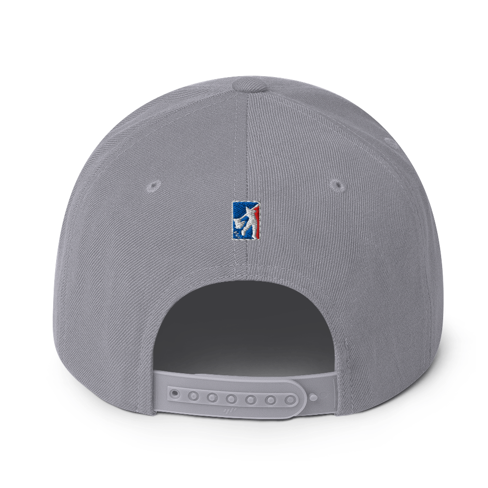 classic-snapback-silver-back-6a7641b771f0b.png