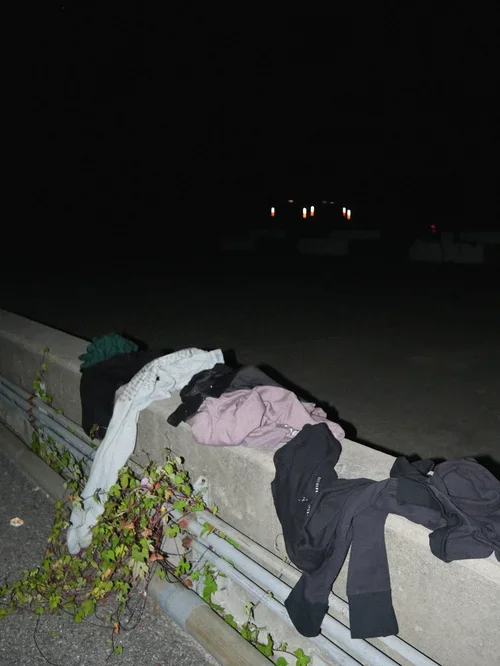 L24.webp