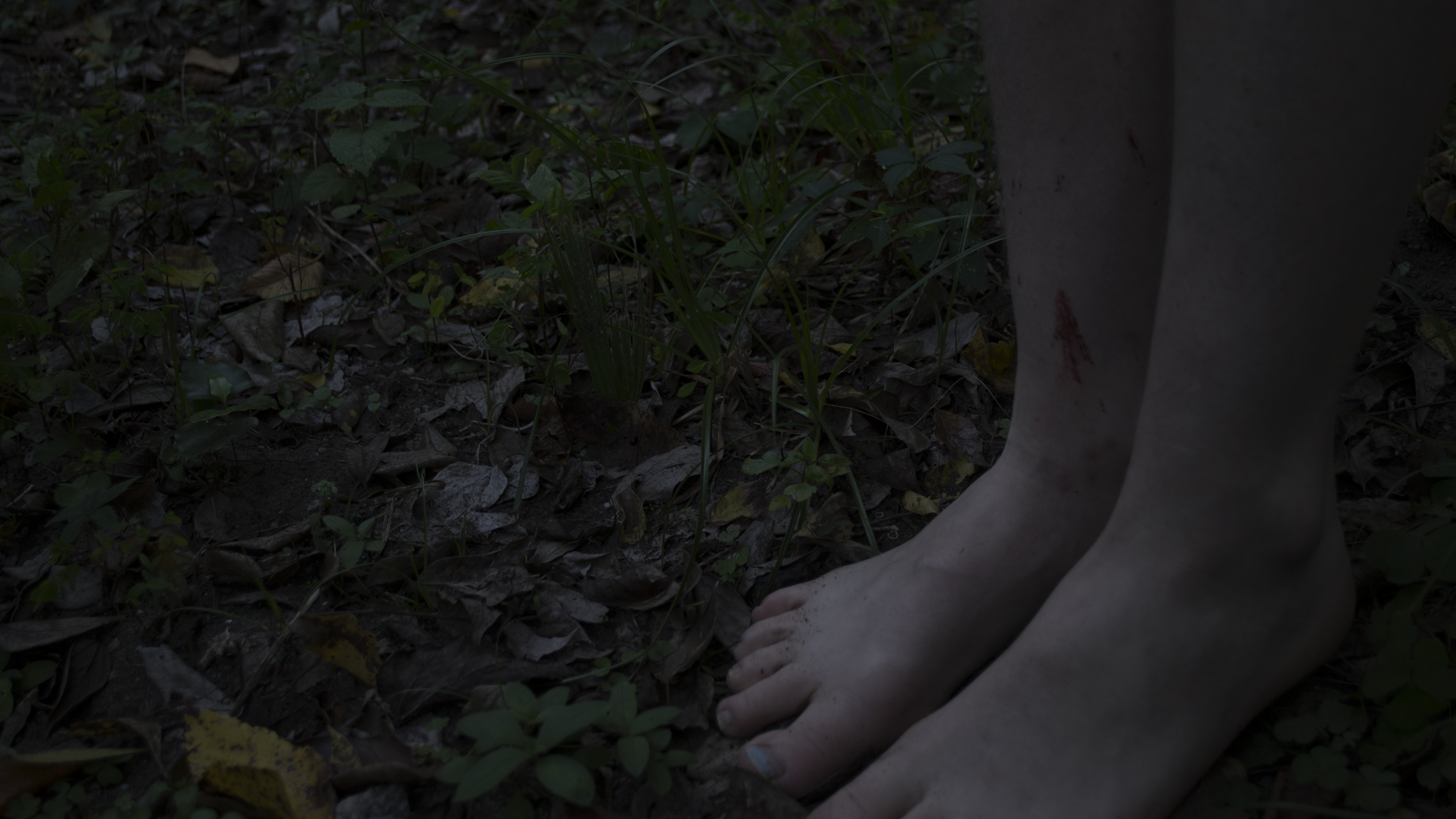 vamp+site9.webp
