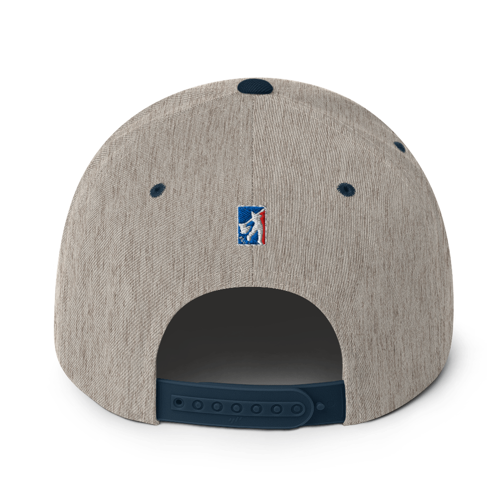 classic-snapback-heather-grey-navy-back-6a7641b771ecd.png