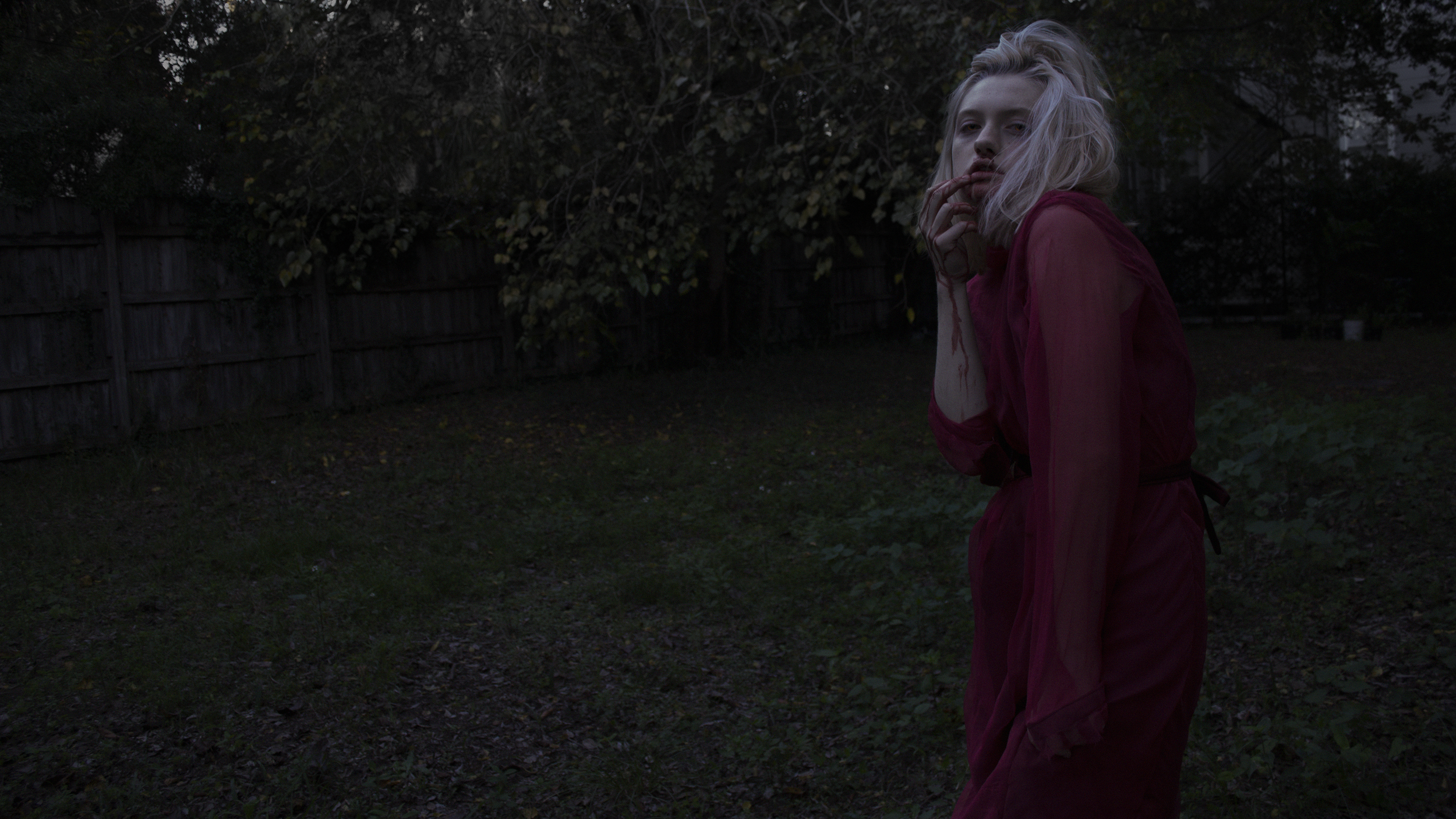 vamp+site7.webp