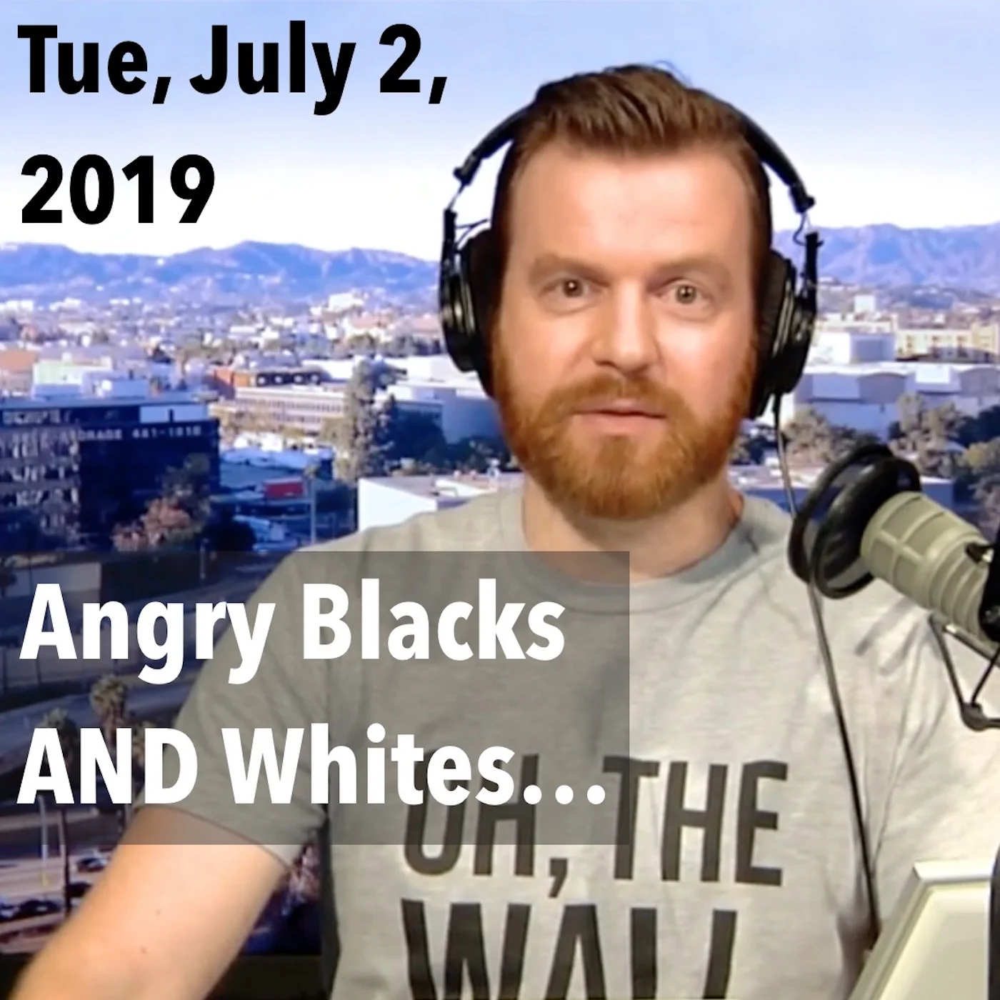 Square thumbnail from today’s show, Tuesday, July 2, 2019: “Central Park Five Lies; Angry Whites and Blacks Think the Same!”