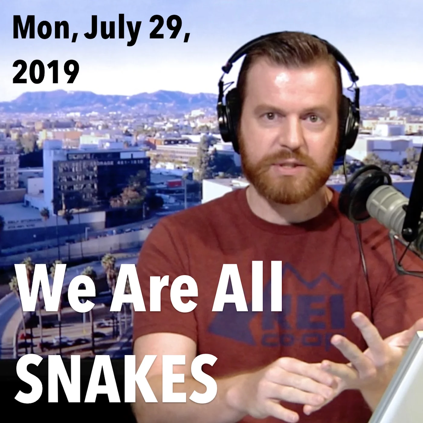 Square thumbnail from The Hake Report Monday, July 29, 2019: We Are All SNAKES