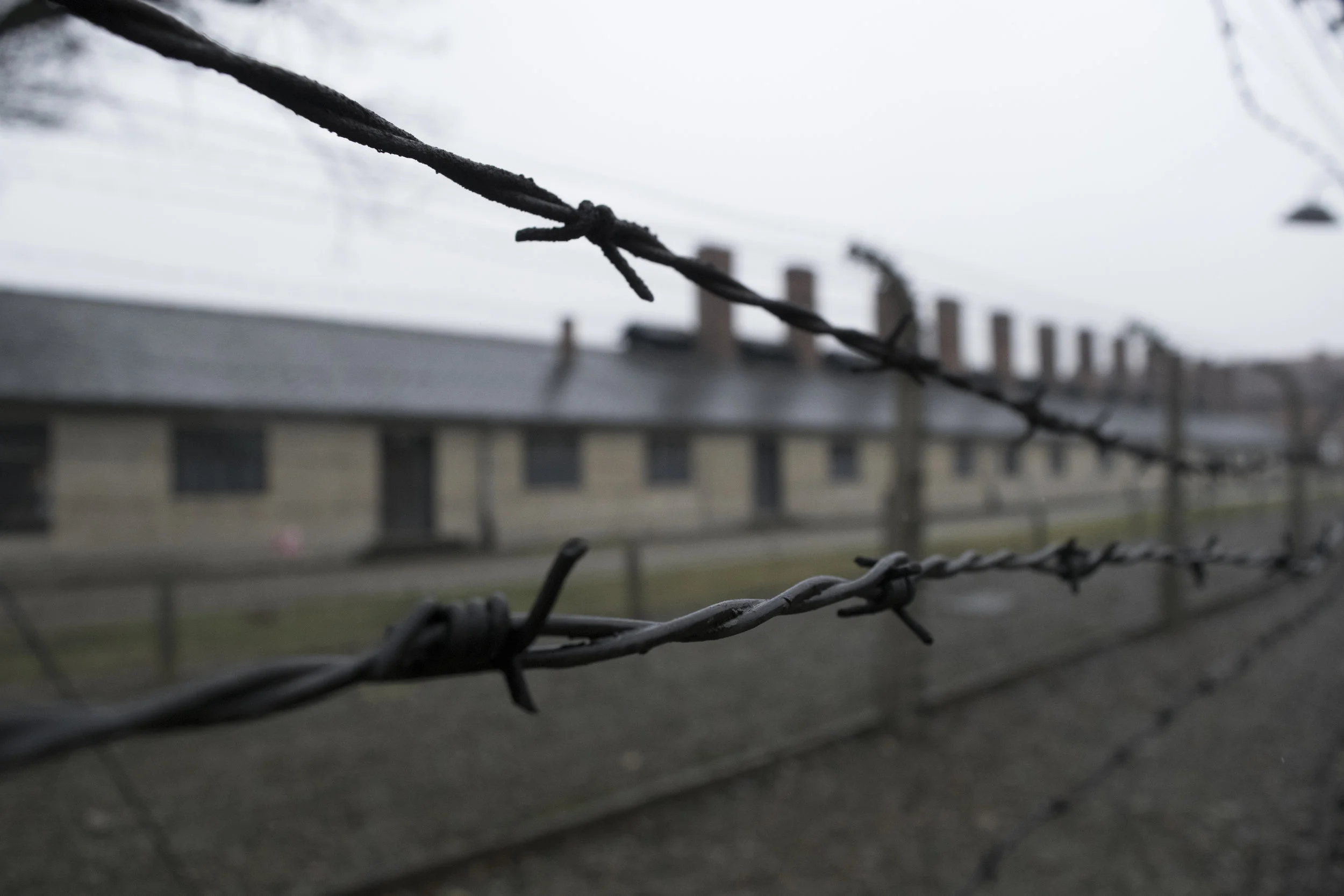 Auschwitz11.jpg