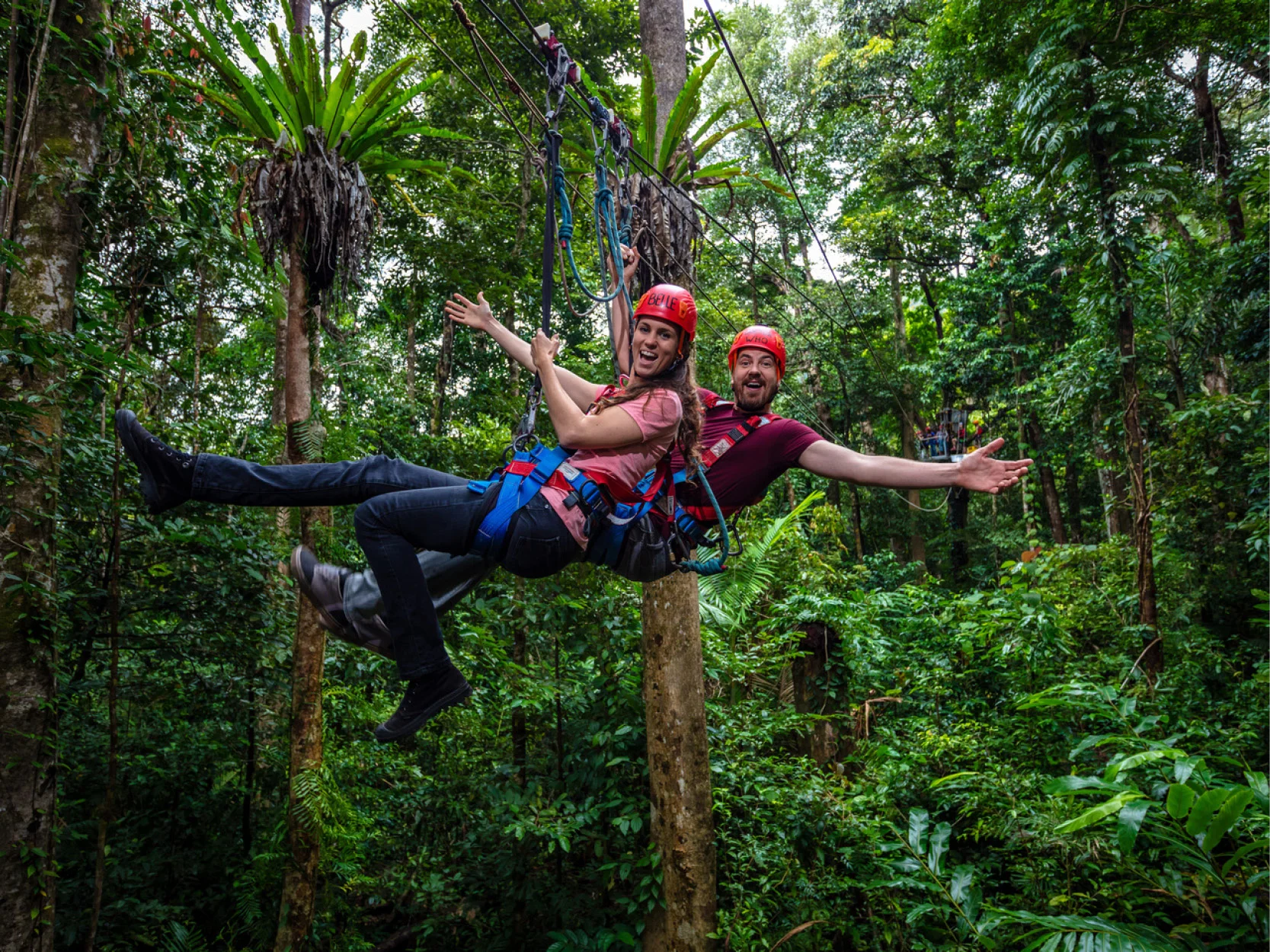 Jungle Surfing Canopy Tours