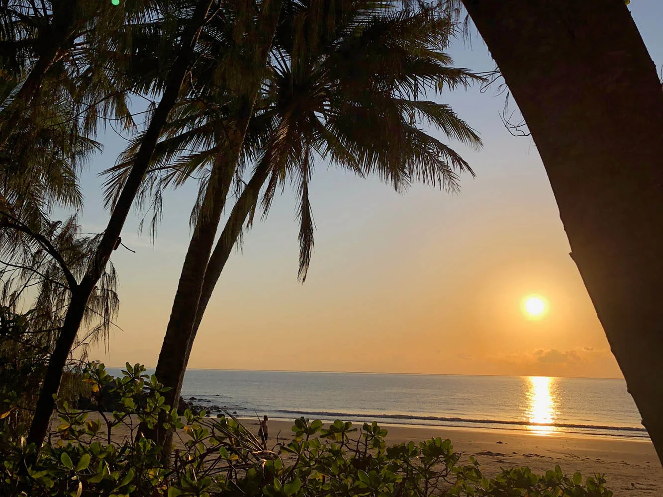 ©pdu_june_feature_winter_tropics12.jpg