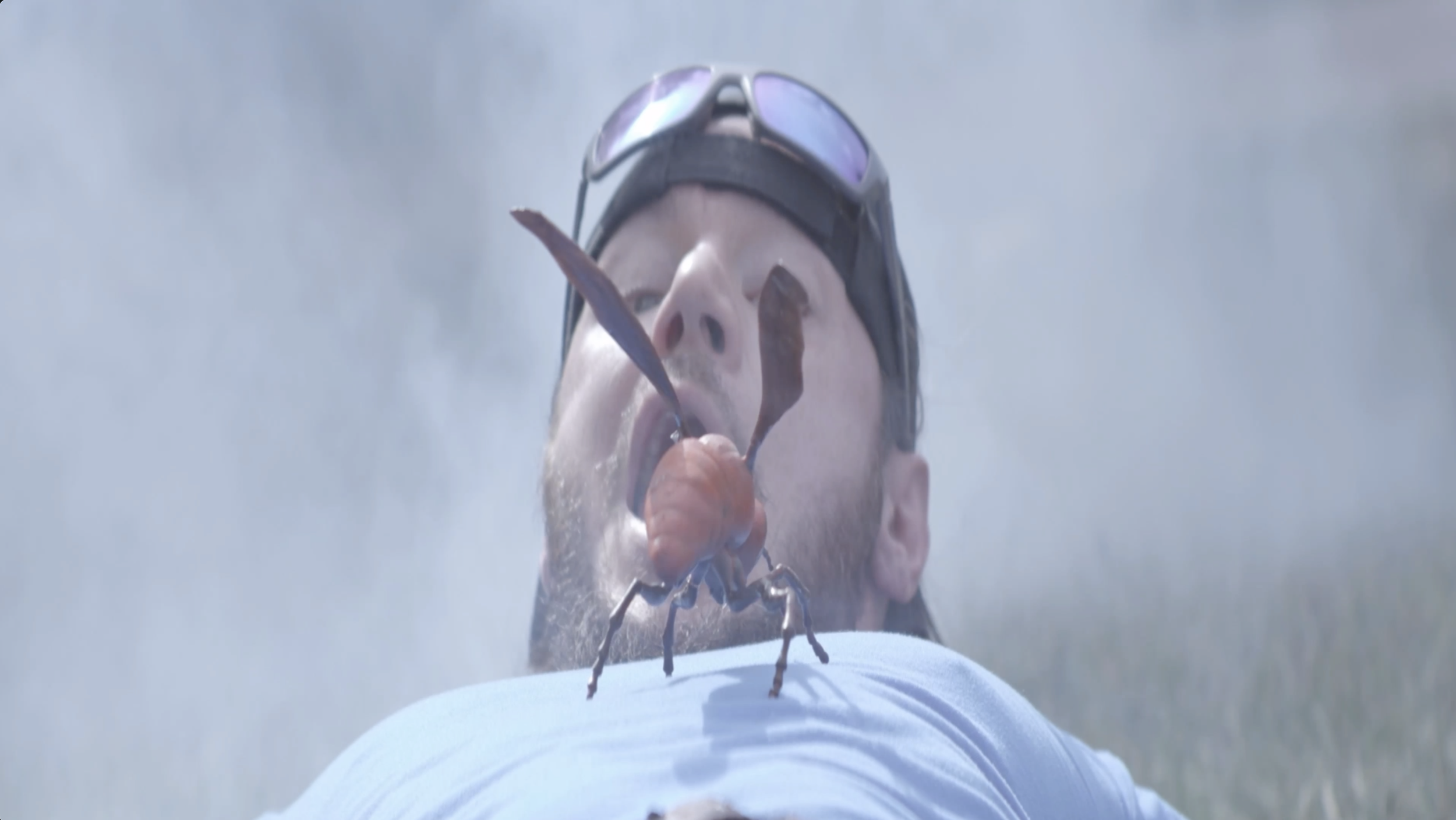 Wilmer Versus The Wasp - coming soon