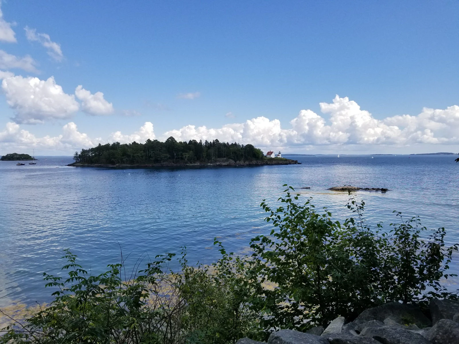 View of Curtis Island from Overlook