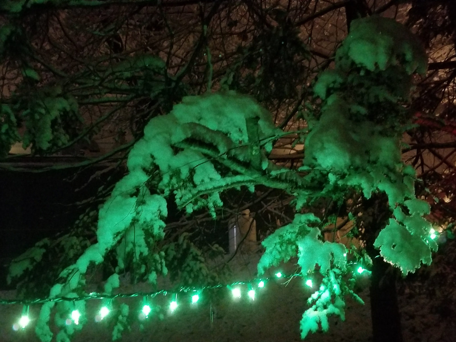 Christmas Snow at Camden Windward House