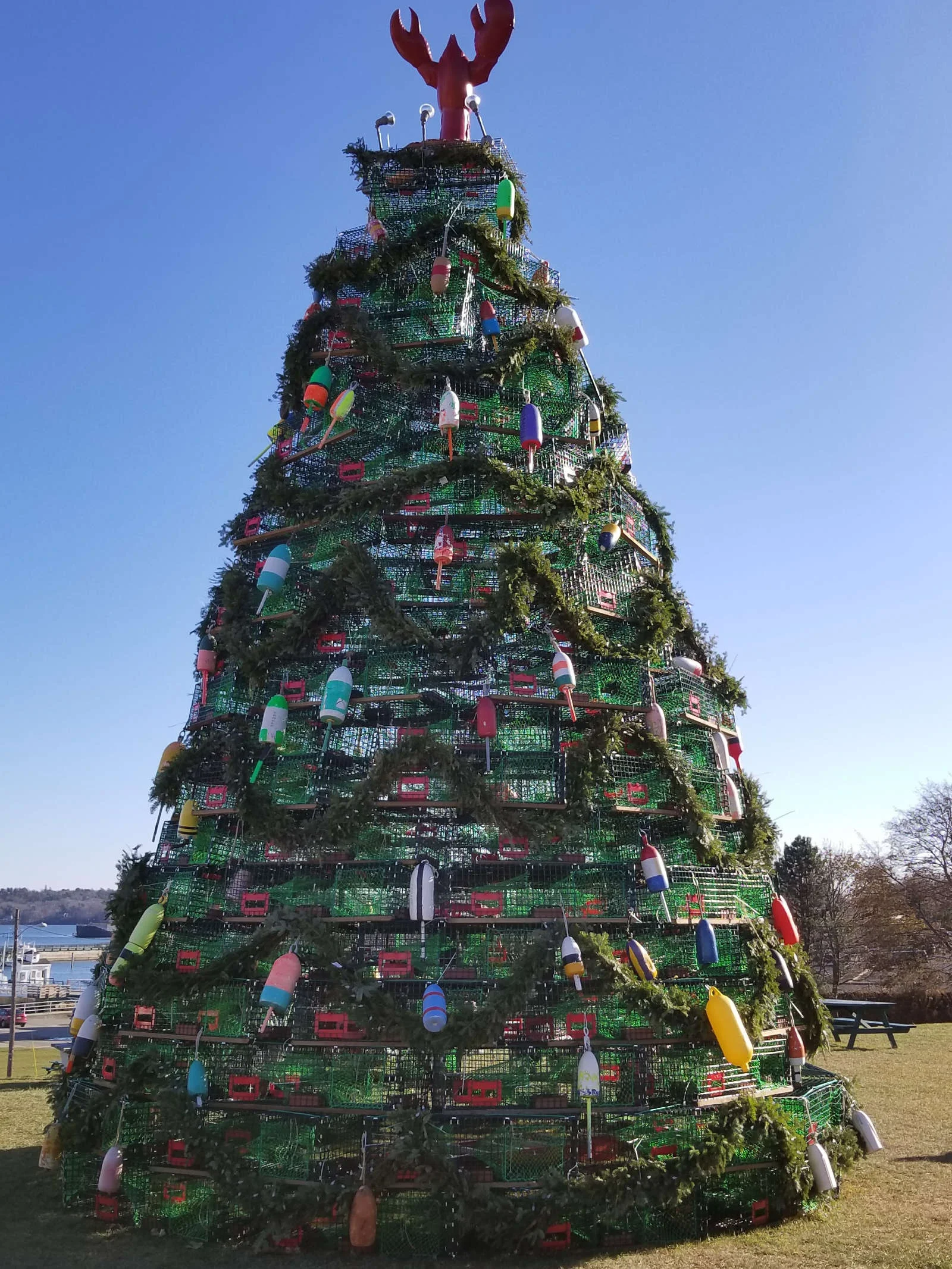 Rockland Lobster Trap Tree
