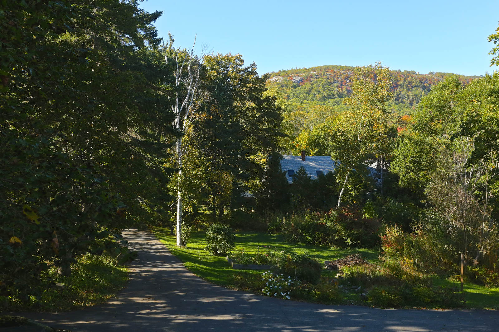 qdeck-mt-battie.jpg