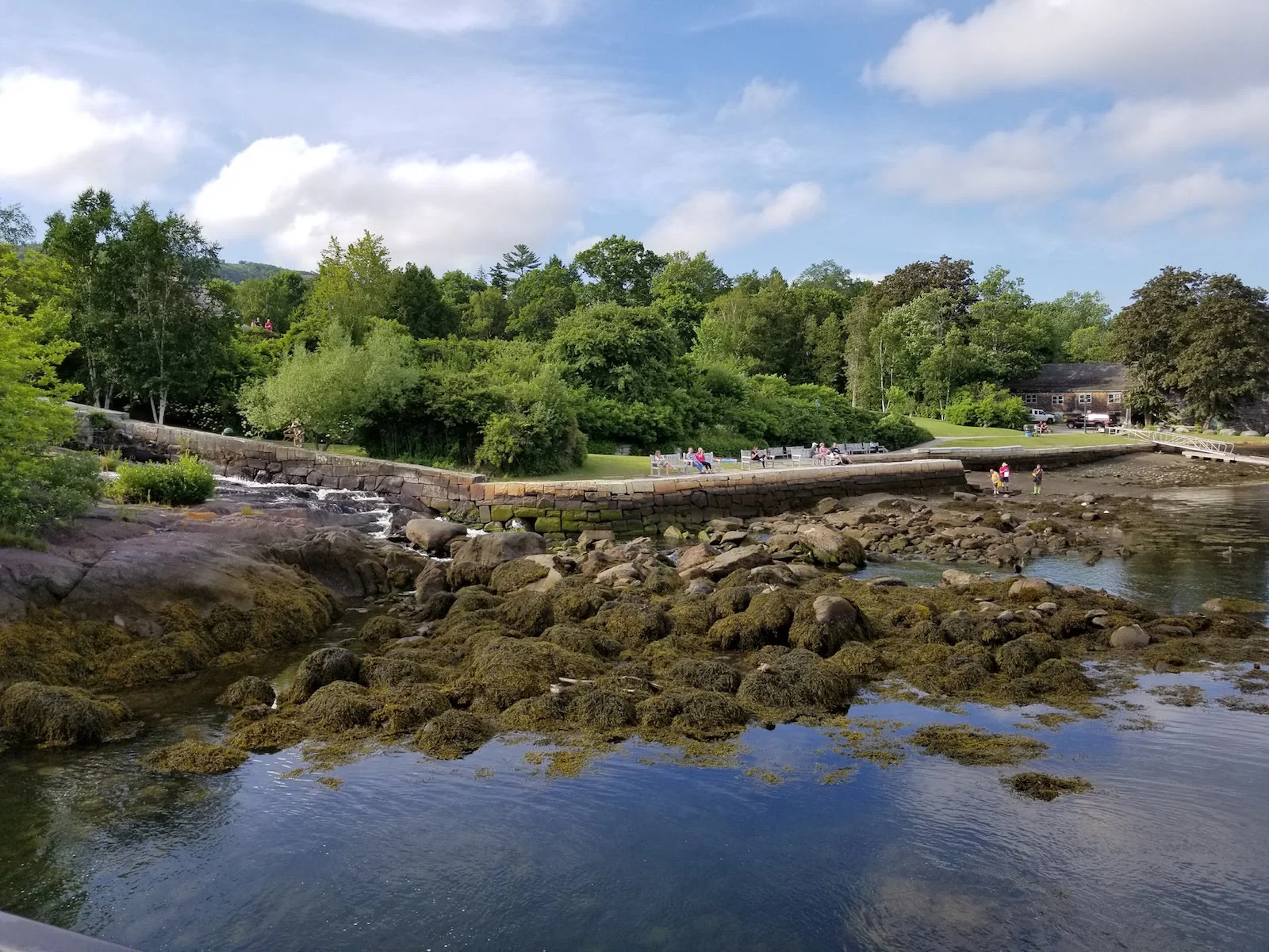 20170711_170748.jpg