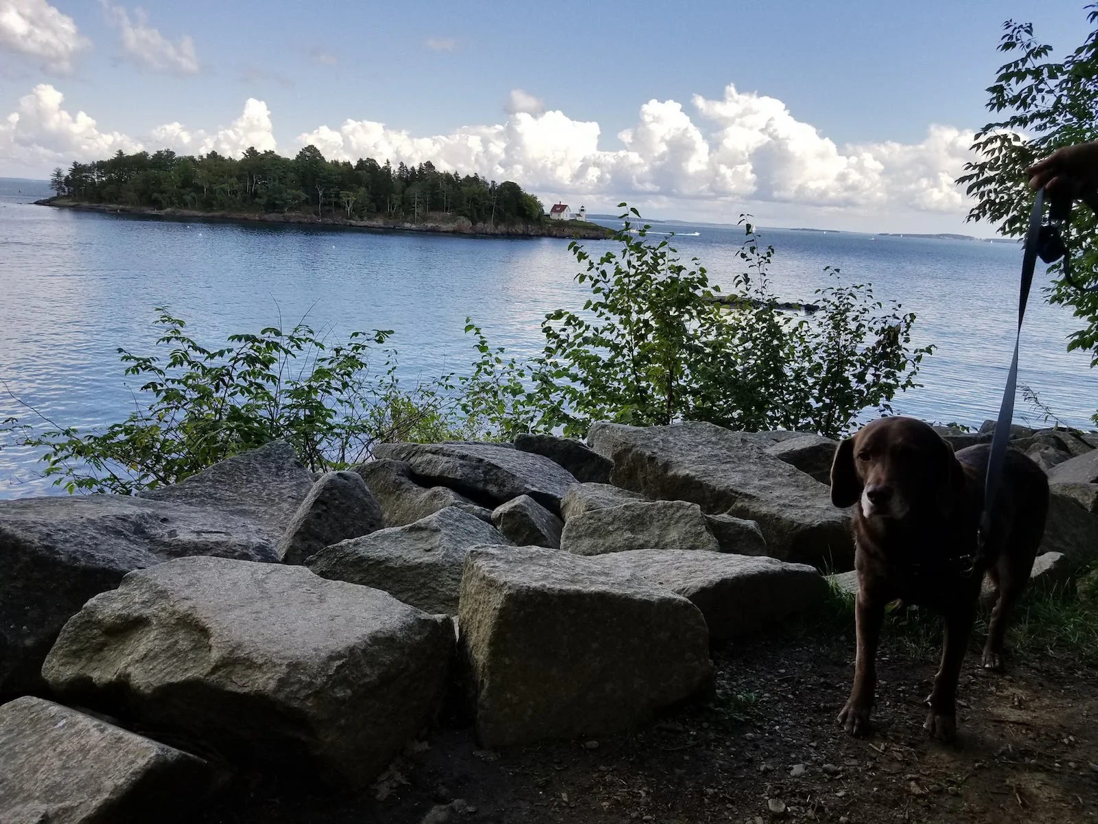 20170909_123220.jpg