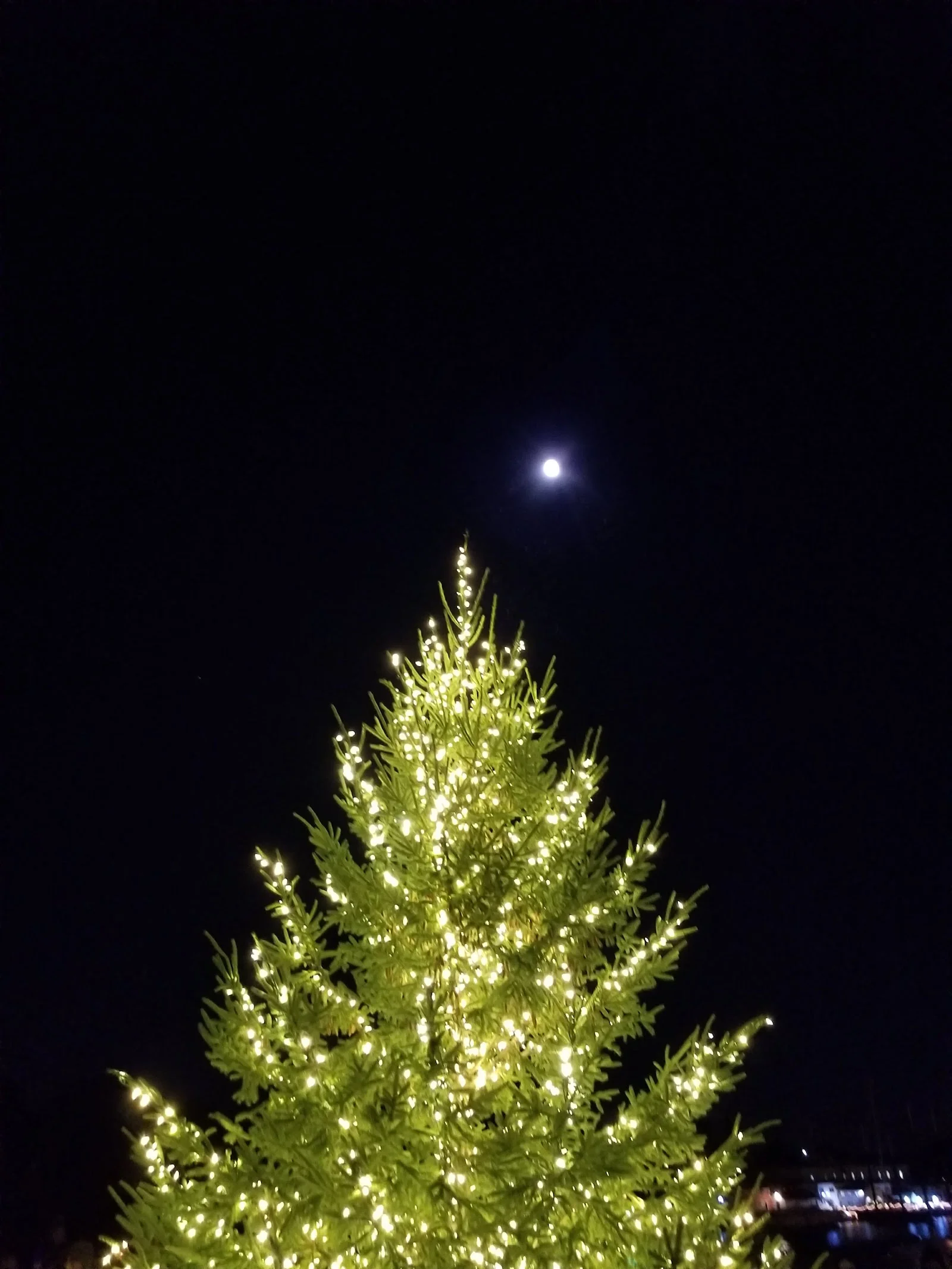 20171201_184420.jpg