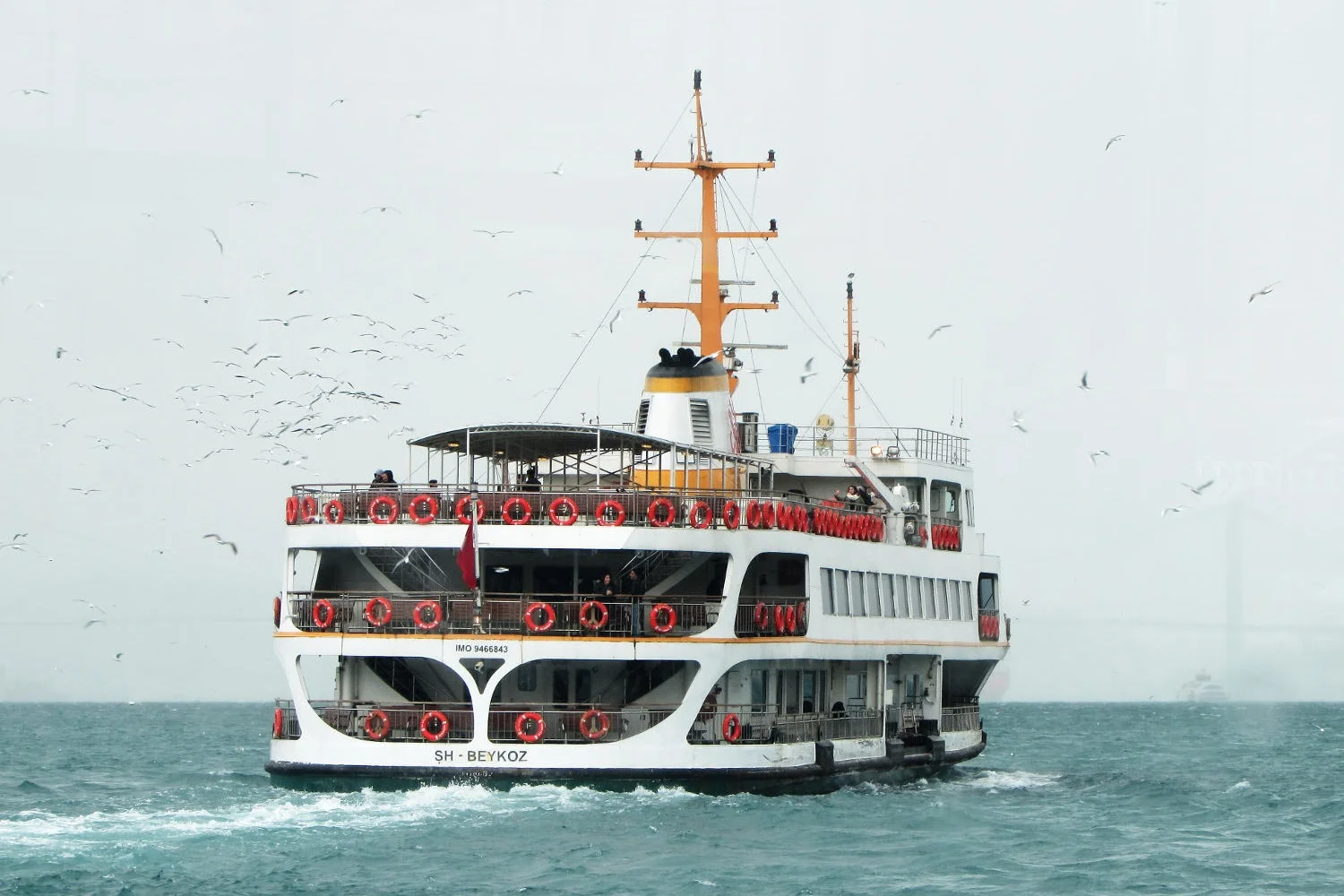 ferry.jpg