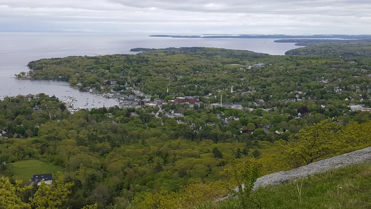 are dogs allowed mount battie maine