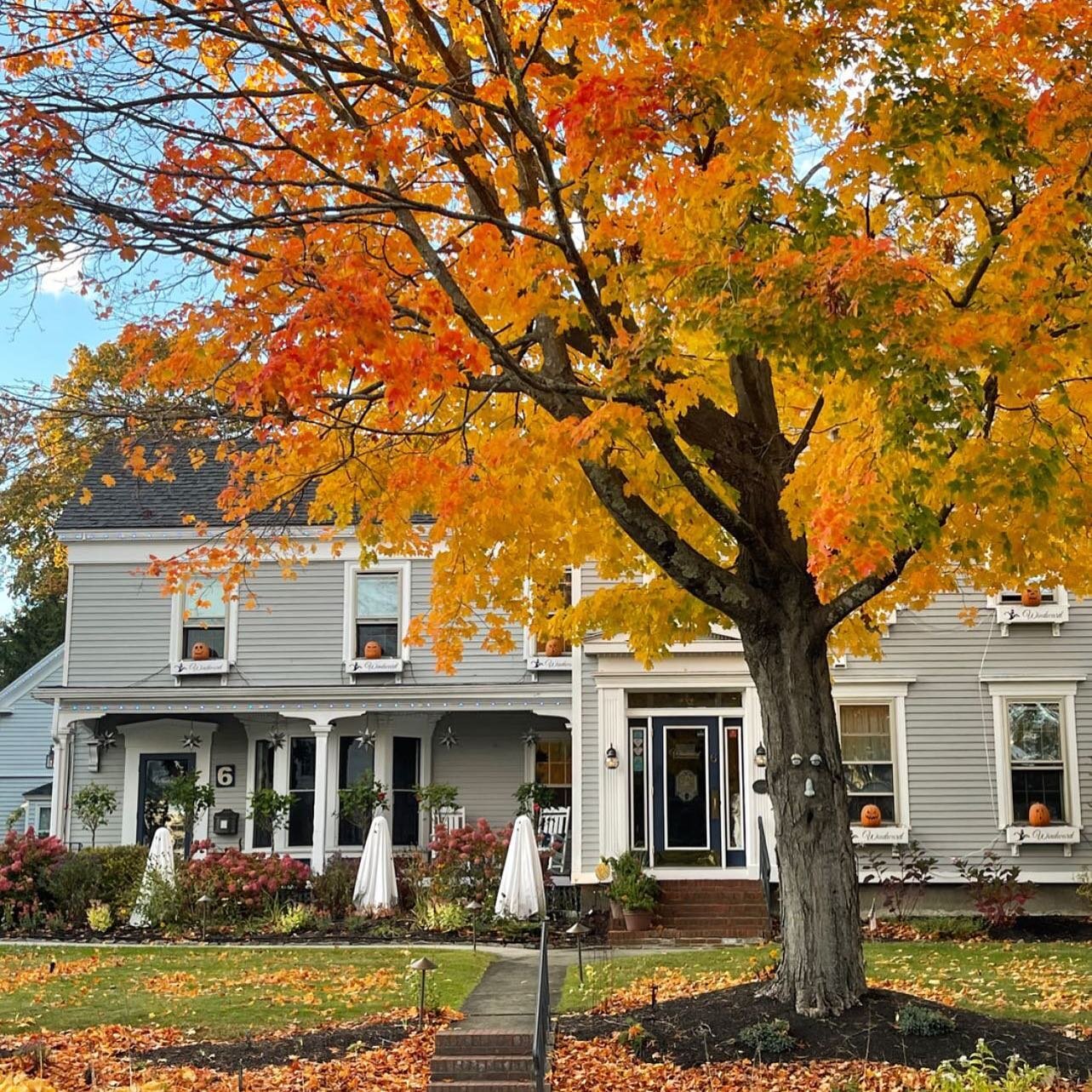 The end of one #season, paves the path for the #beauty of the next one! #fall #fallvibes #bedandbreakfasts #newengland #onlyin207 #mainesucks