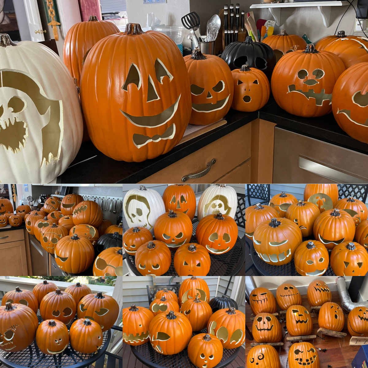 halloween pumpkins.jpg