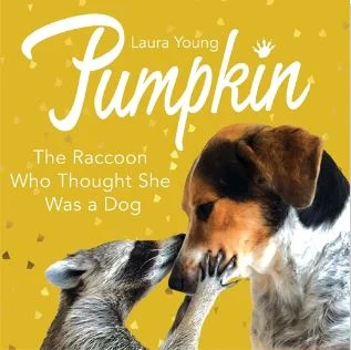 BOOK REVIEW: Pumpkin: The Raccoon Who Thought She Was a Dog