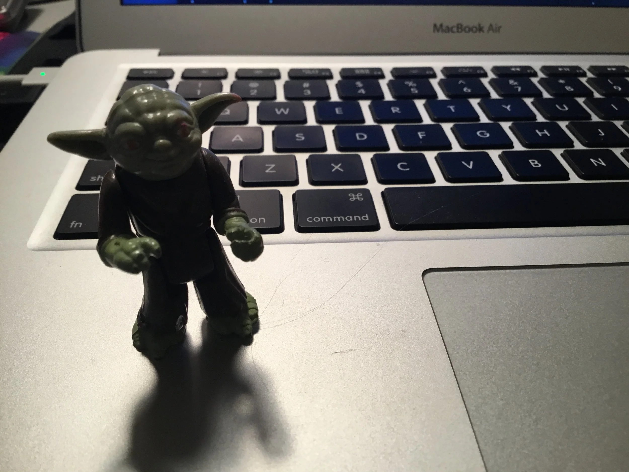 Sherry Howard Yoda pic.jpg