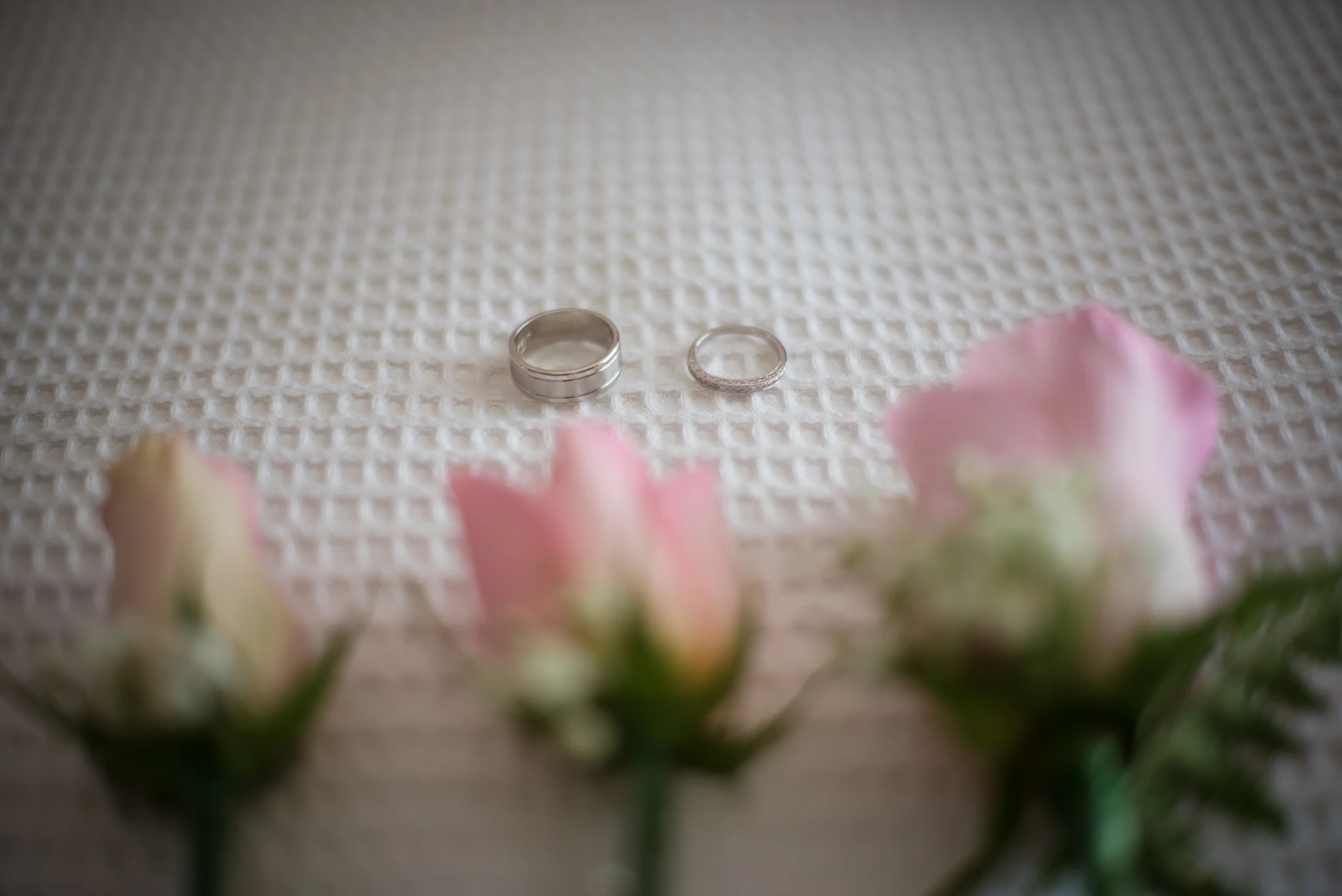 close up of the wedding rings by panoramic photography