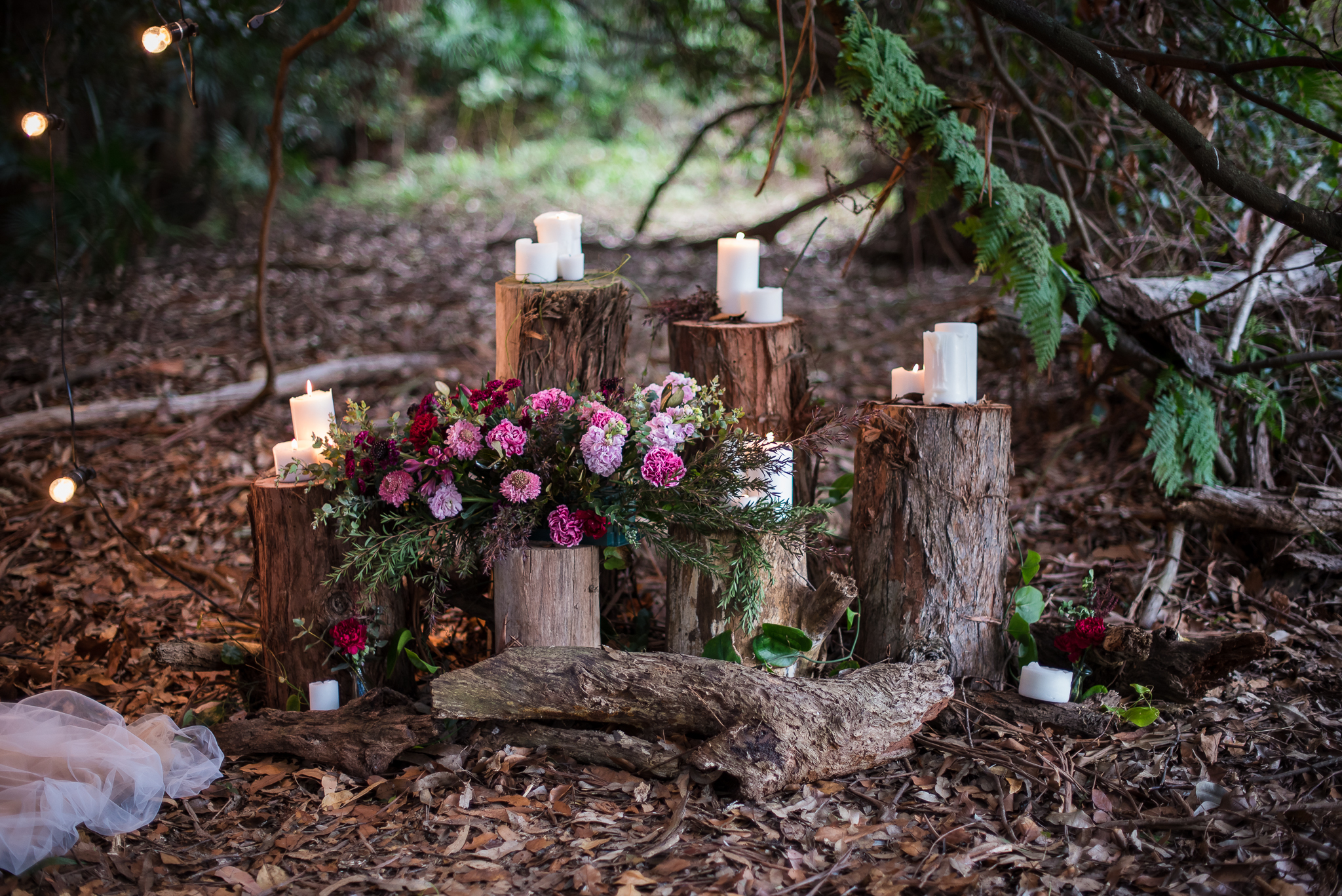 Otford Forest-95.JPG