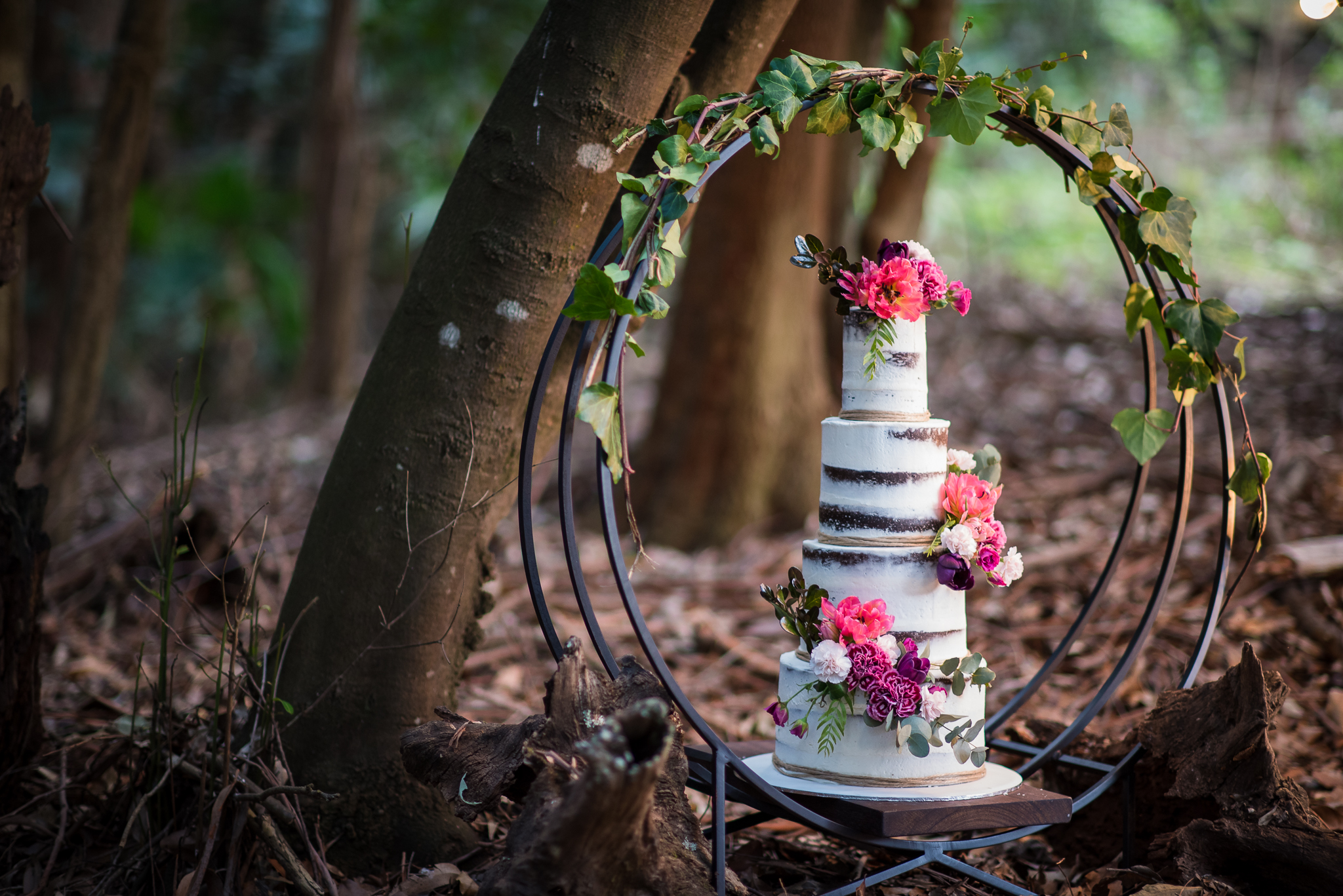 Otford Forest-103.JPG