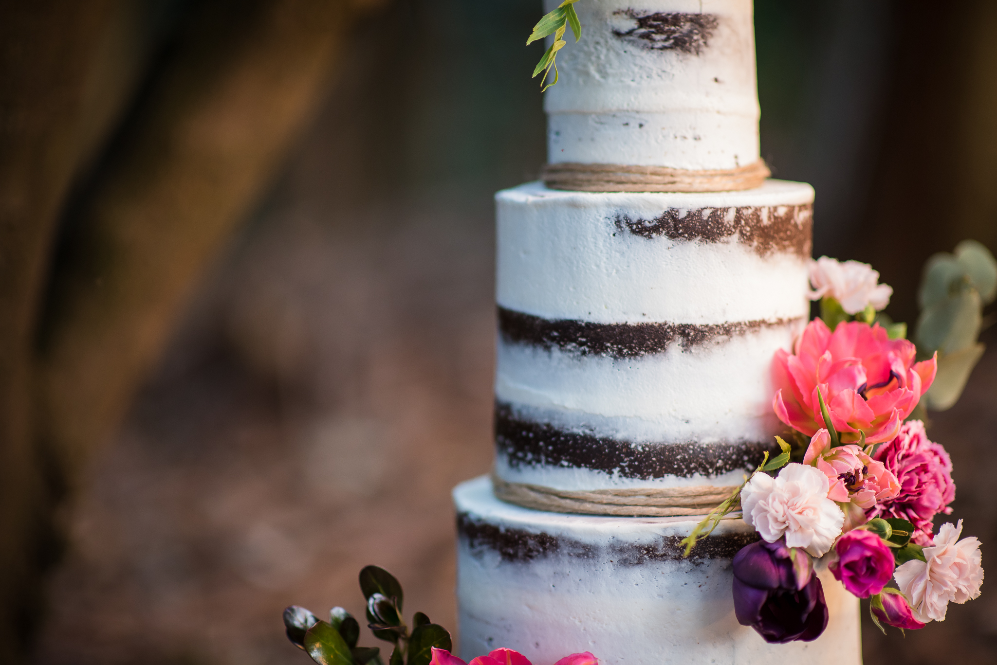 Otford Forest-125.JPG