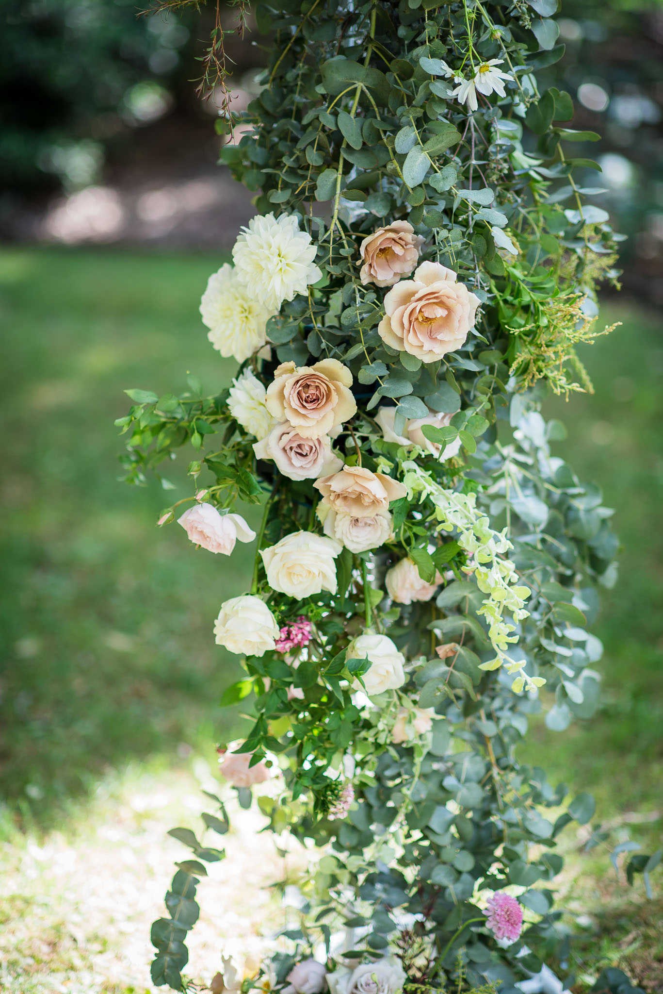 the secret garden-1.JPG