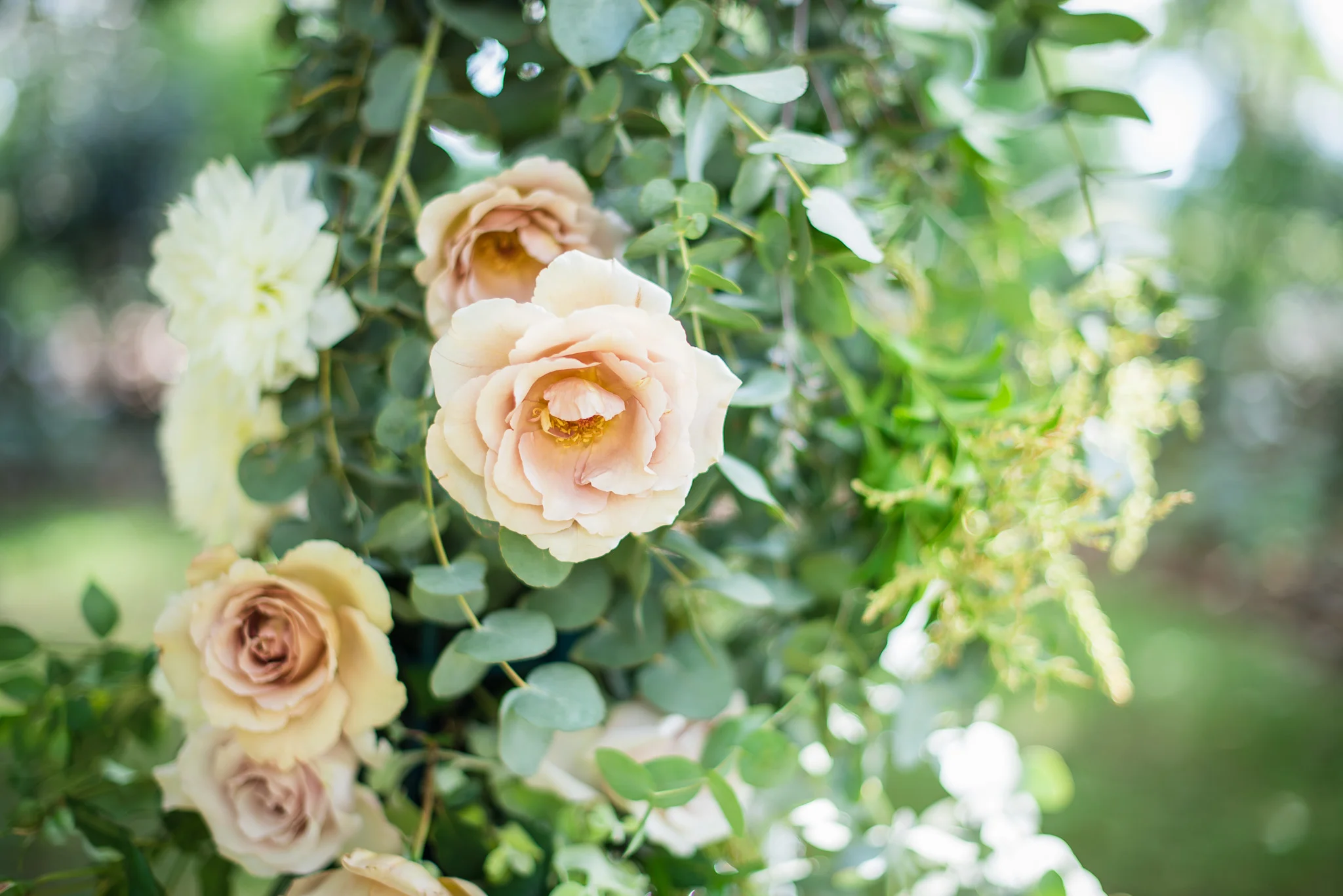 the secret garden-2.JPG